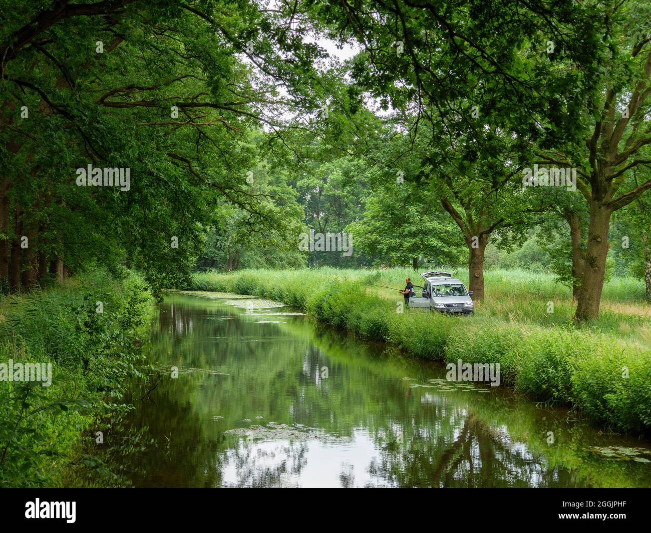 Deichhase con alberi antichi, pescatore, Quakenbrück, Osnabrücker Land, bassa Sassonia, Germania Foto Stock