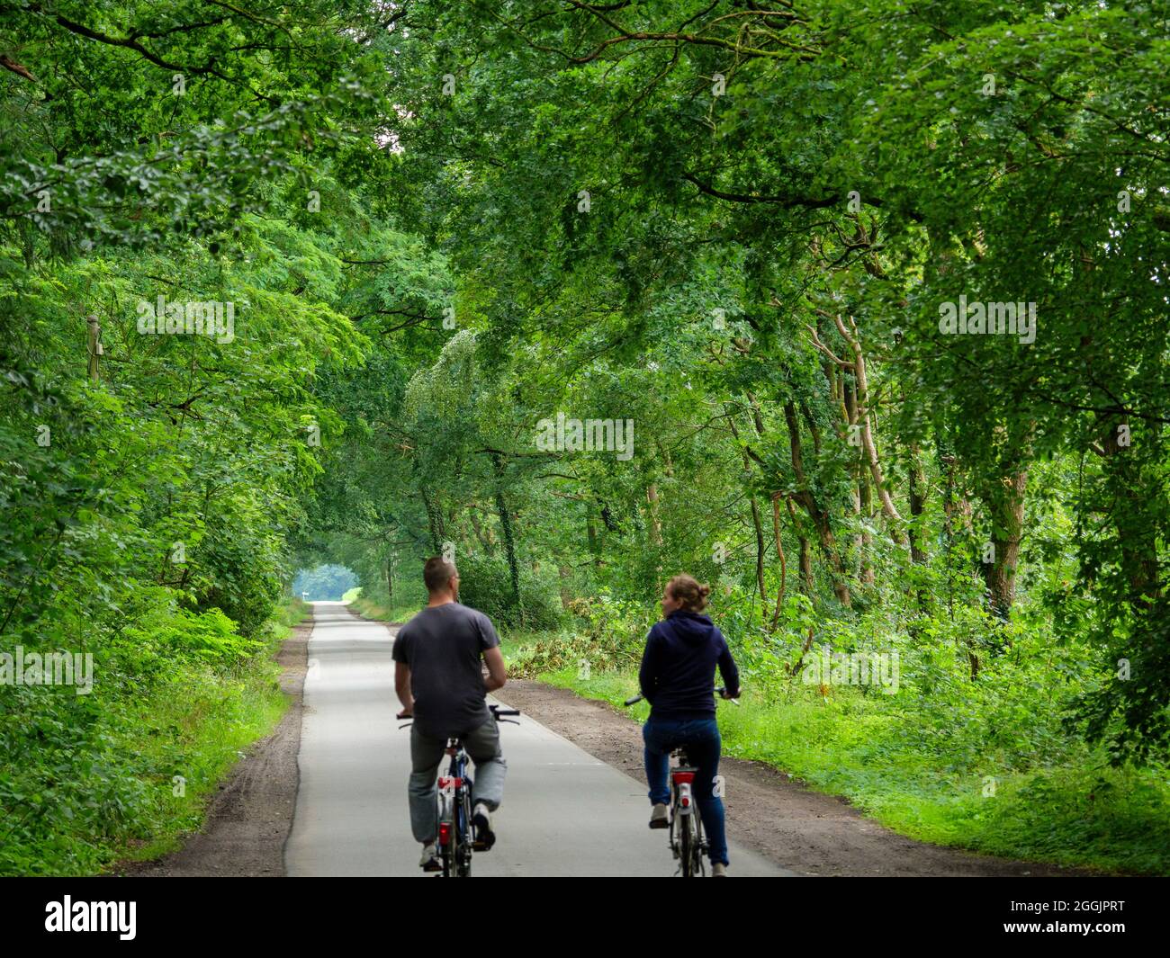 Ciclisti, avenue nei pressi di Kettenkamp, Artland, Osnabrücker Land, bassa Sassonia, Germania Foto Stock