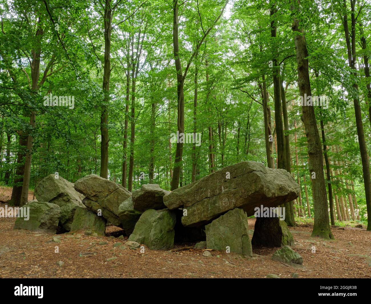 Tomba preistorica di pietra grande Karlsteine, Osnabrück, Osnabrücker Land, bassa Sassonia, Germania Foto Stock