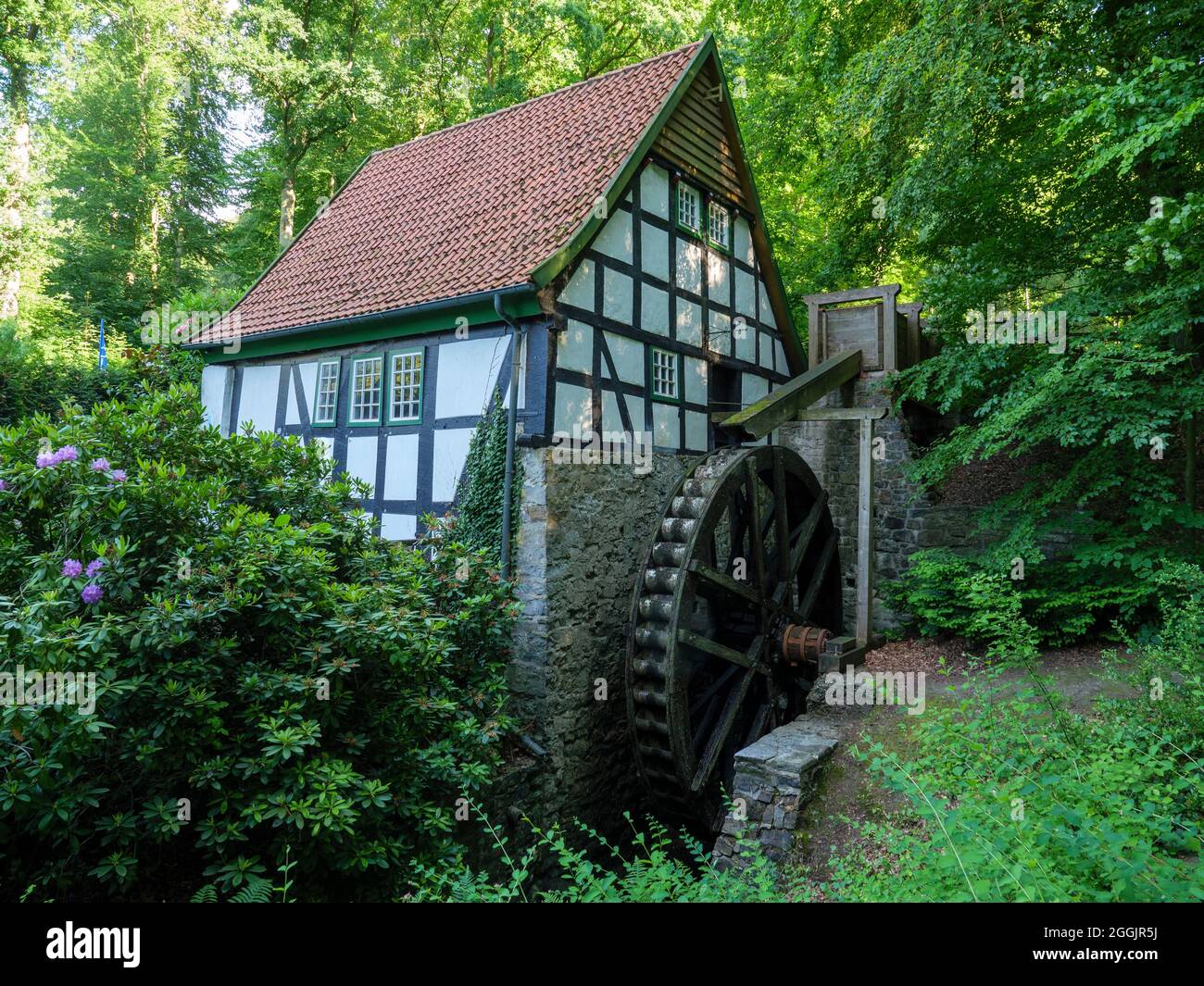 Mulino ad acqua Bad Essen, Osnabruecker Land, bassa Sassonia, Germania Foto Stock