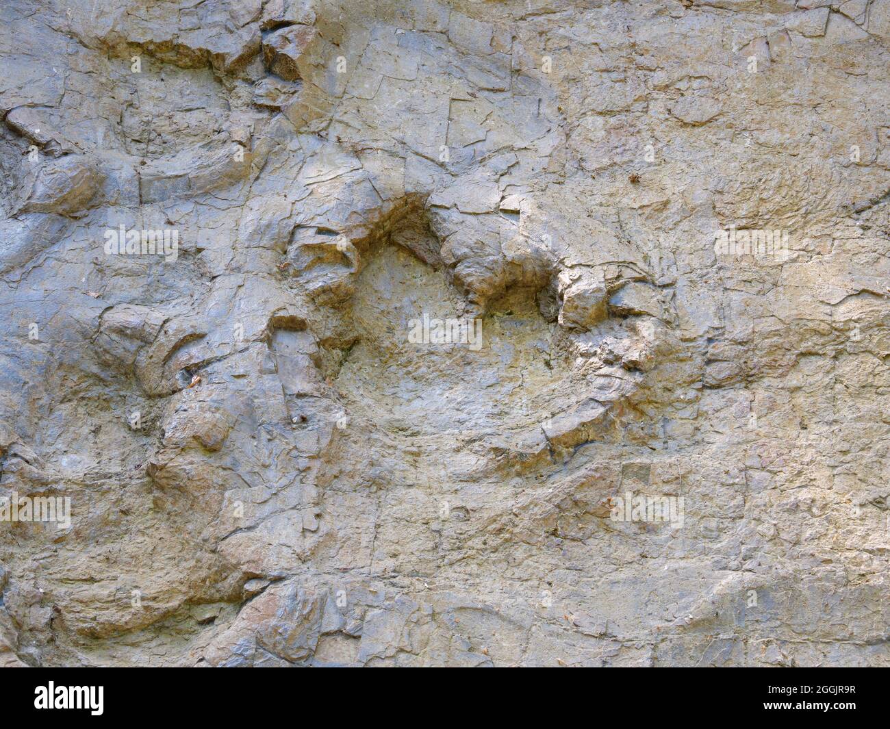 Tracce di dinosauri, impronte di dinosauri, Bad Essen, Osnabrücker Land, bassa Sassonia, Germania Foto Stock