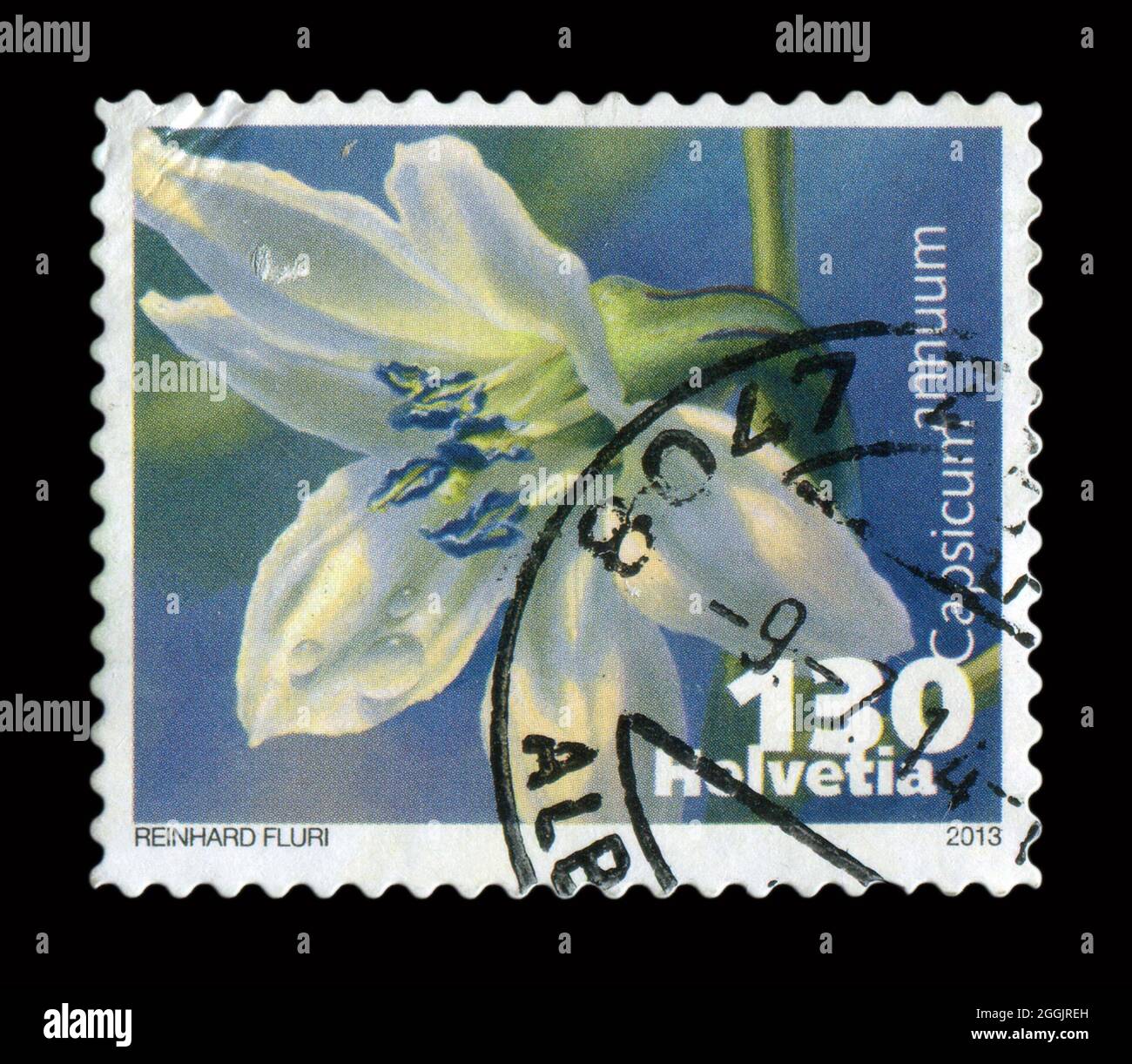 Il francobollo stampato in Svizzera mostra l'immagine del Capsicum annuum, circa 2013. Foto Stock