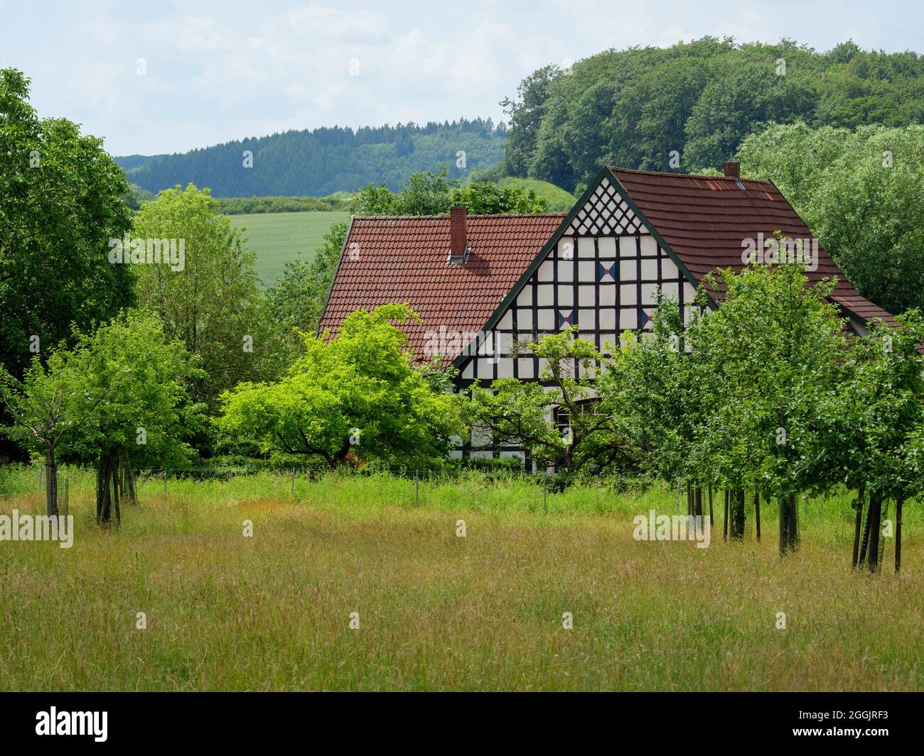 Fattoria vicino Hagen ATW, Teutoburg Forest, Osnabrücker Land, bassa Sassonia, Germania Foto Stock