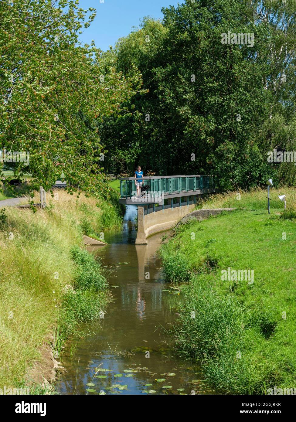 Biforcazione della lepre, Melle-Gesmold, Osnabrücker Land, bassa Sassonia, Germania Foto Stock