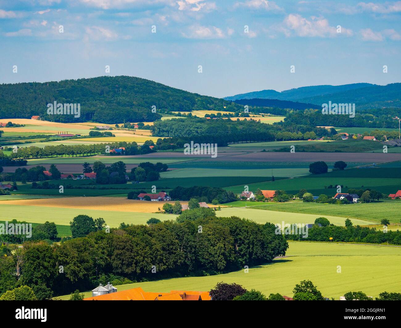 Vista dalla torre di osservazione di Friedenshöhe nei pressi di Buer, Grönegau, Wiehengebirge, Osnabrücker Land, bassa Sassonia, Germania Foto Stock