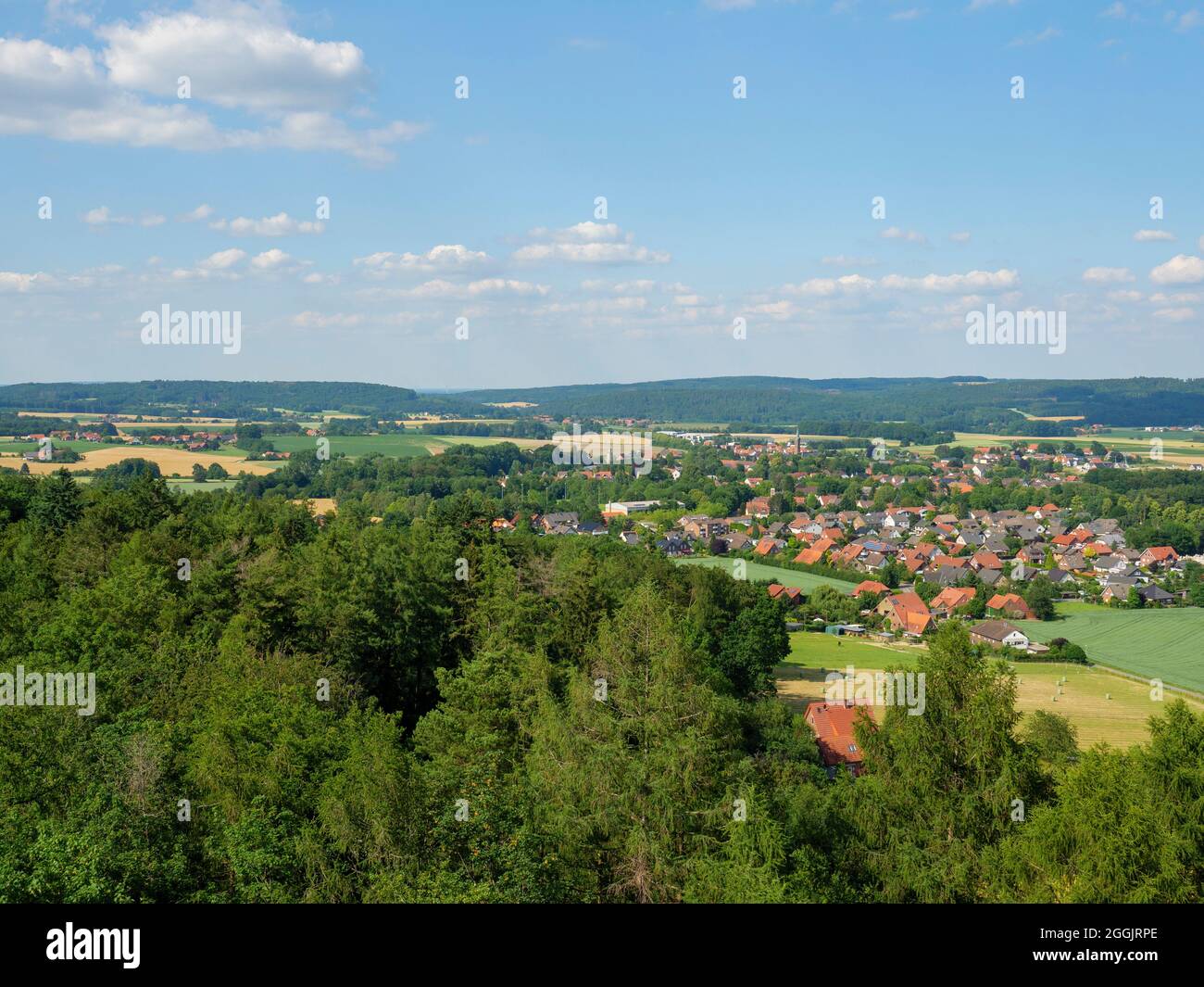 Vista dalla torre di osservazione Friedenshöhe vicino a Buer, Grönegau, Osnabrücker Land, bassa Sassonia, Germania Foto Stock