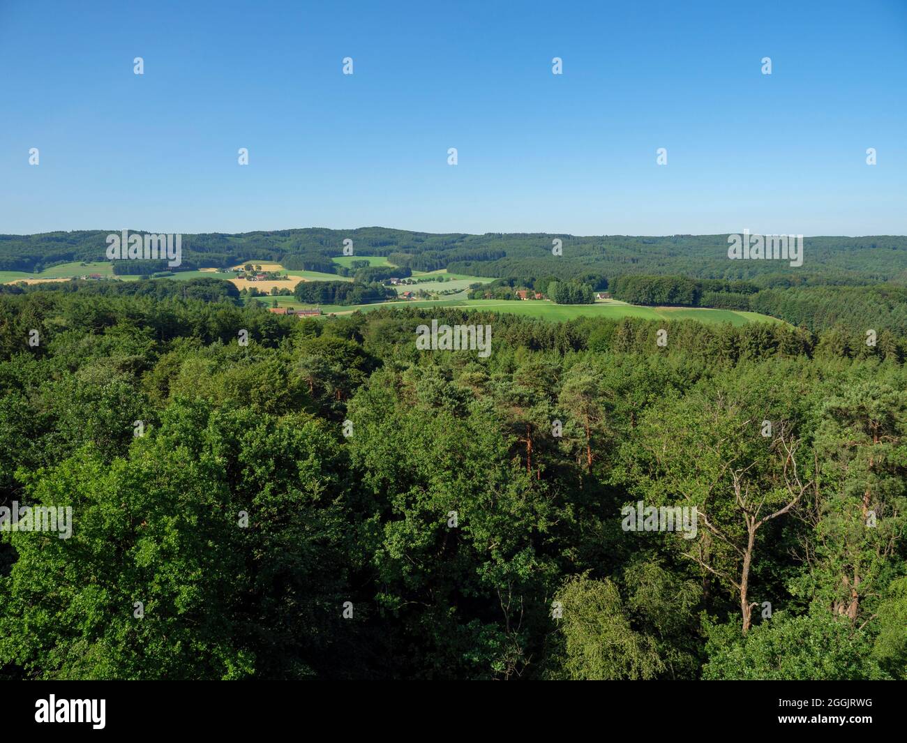 Vista dalla torre di osservazione di Beutling alla foresta di Teutoburg, Wellingholzhausen, Osnabrücker Land, bassa Sassonia, Germania Foto Stock