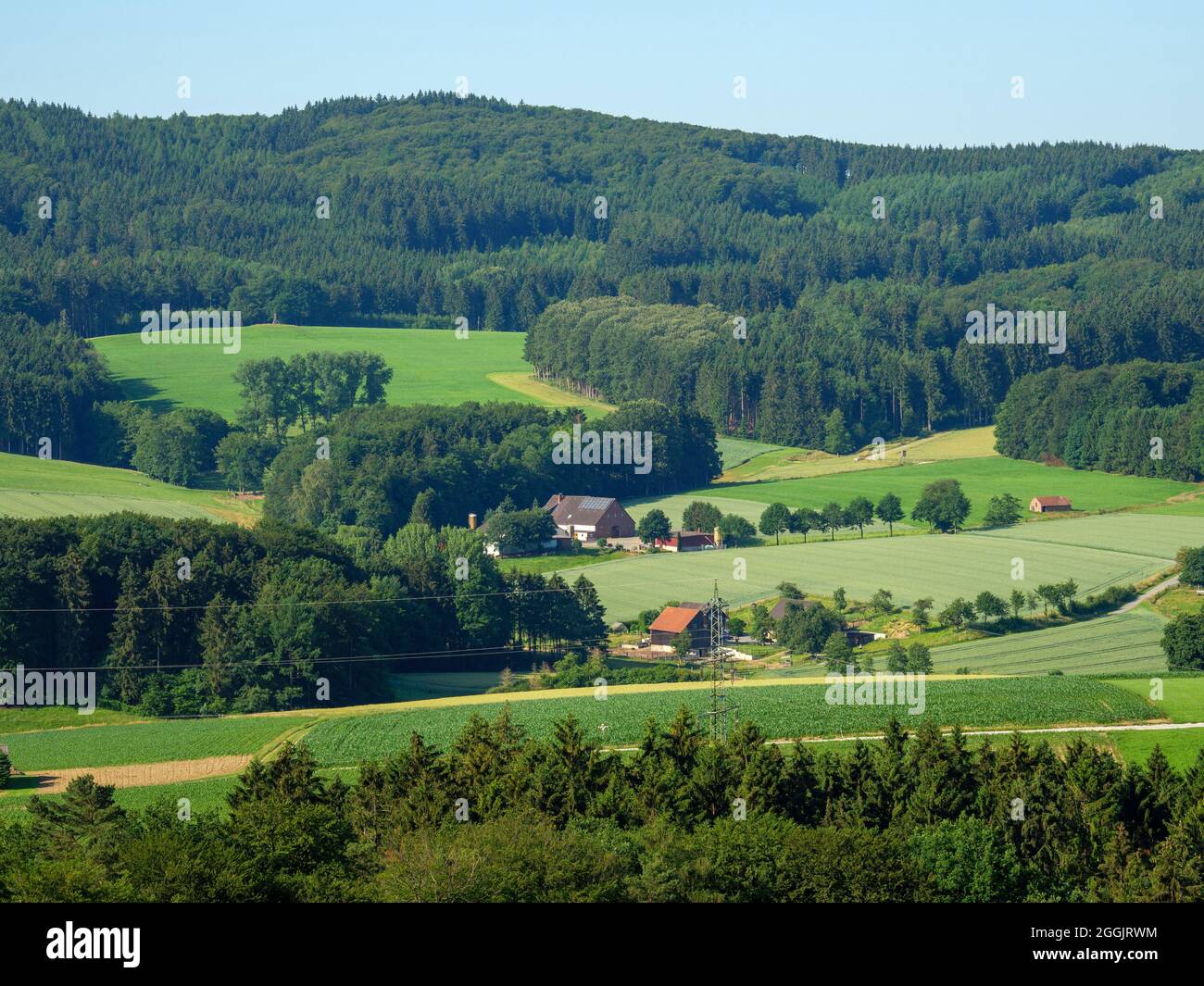 Vista dalla torre di osservazione di Beutling alla foresta di Teutoburg, Wellingholzhausen, Osnabrücker Land, bassa Sassonia, Germania Foto Stock