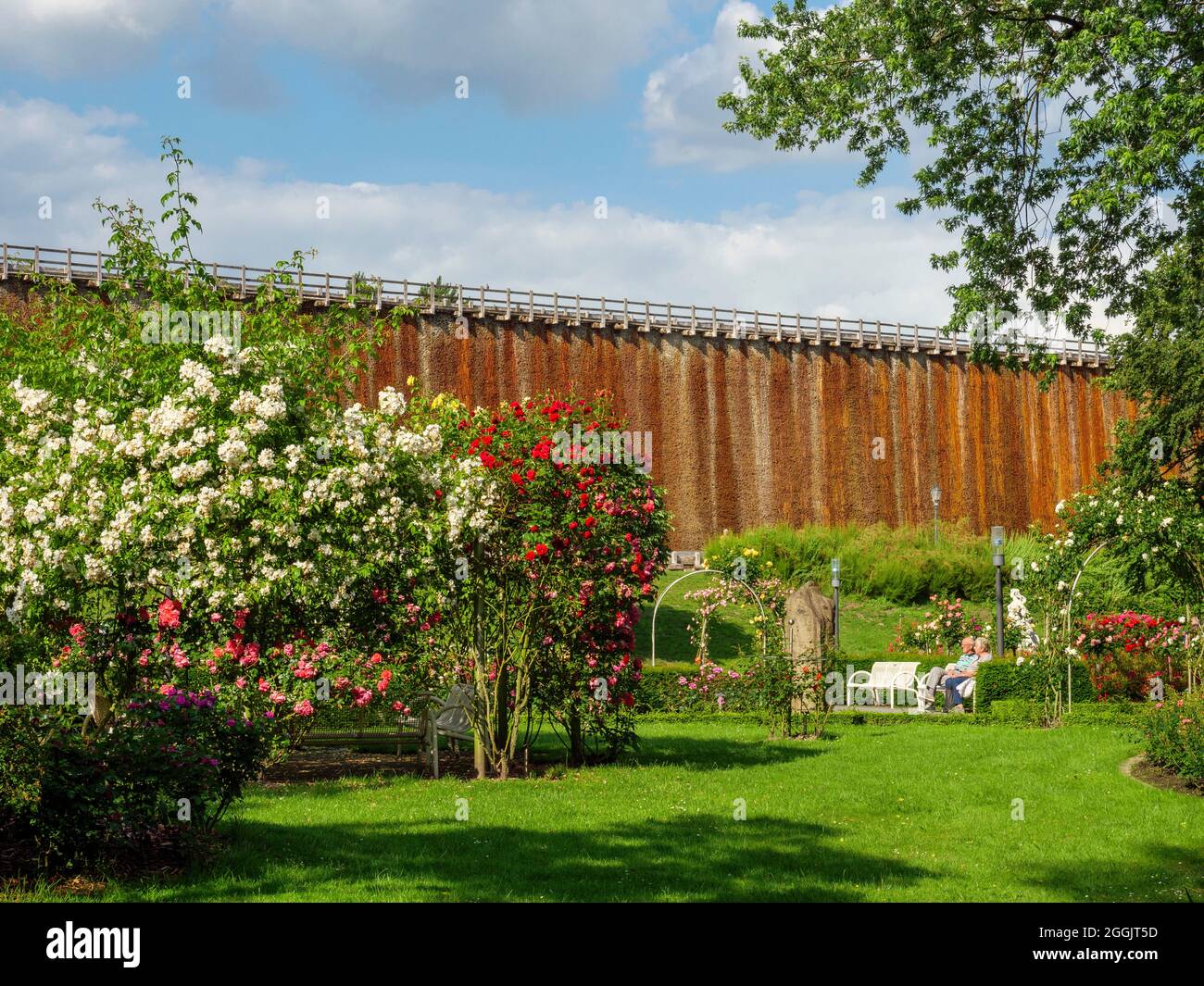 Rudi-Wernemann-Rosengarten, nuova torre di laurea, giardini termali di Bad Rothenfelde, Osnabrücker Land, bassa Sassonia, Germania Foto Stock