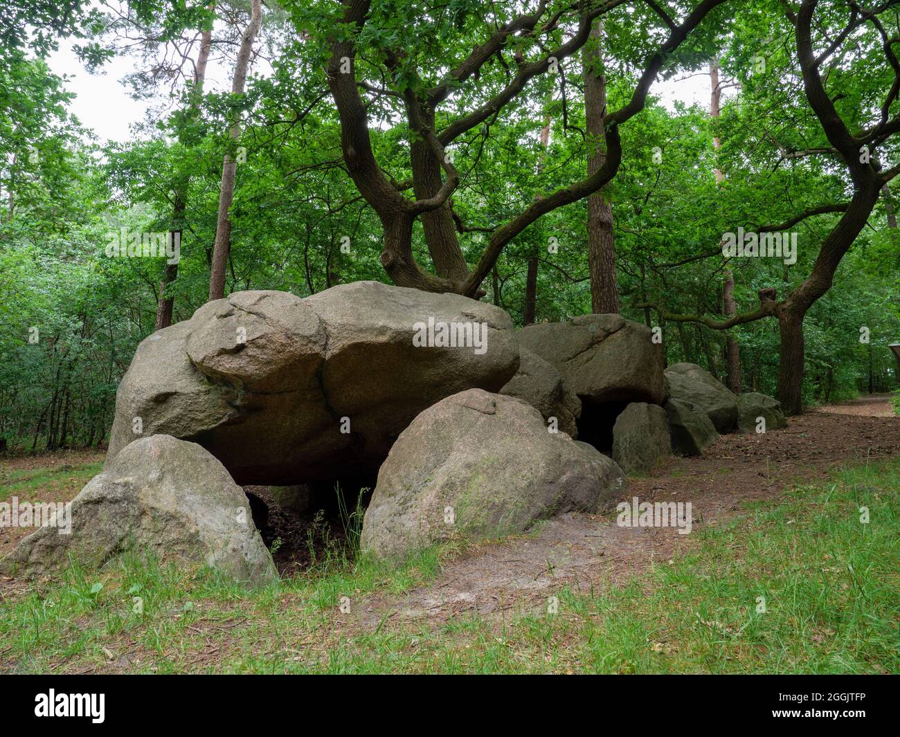 Grande tomba di pietra a Wiemelsberg, Artland, Osnabrücker Land, bassa Sassonia, Germania Foto Stock