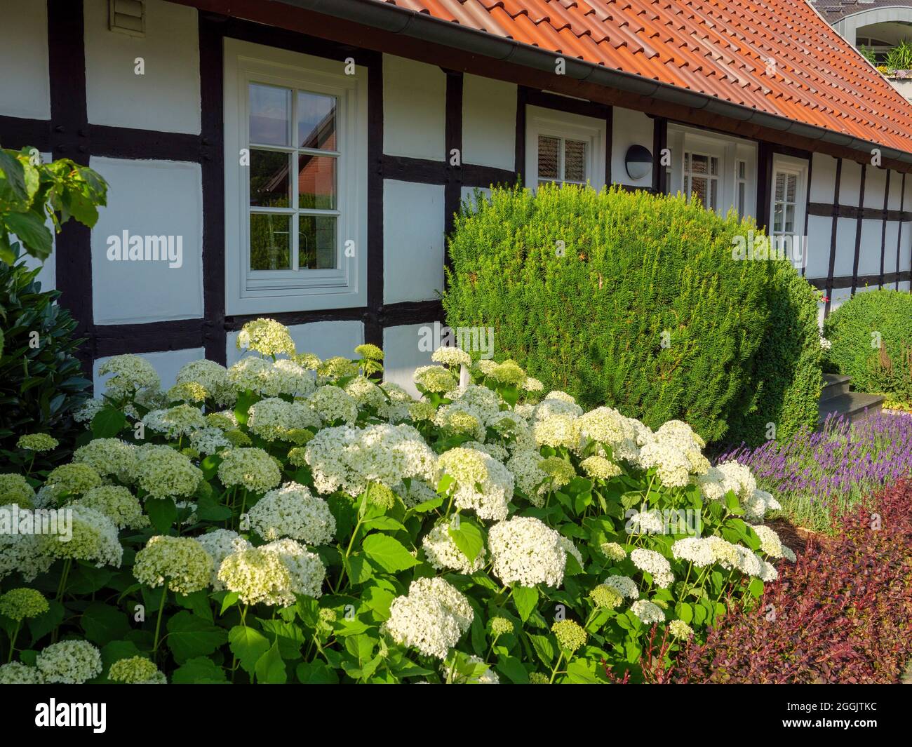 Rulle immagini e fotografie stock ad alta risoluzione - Alamy