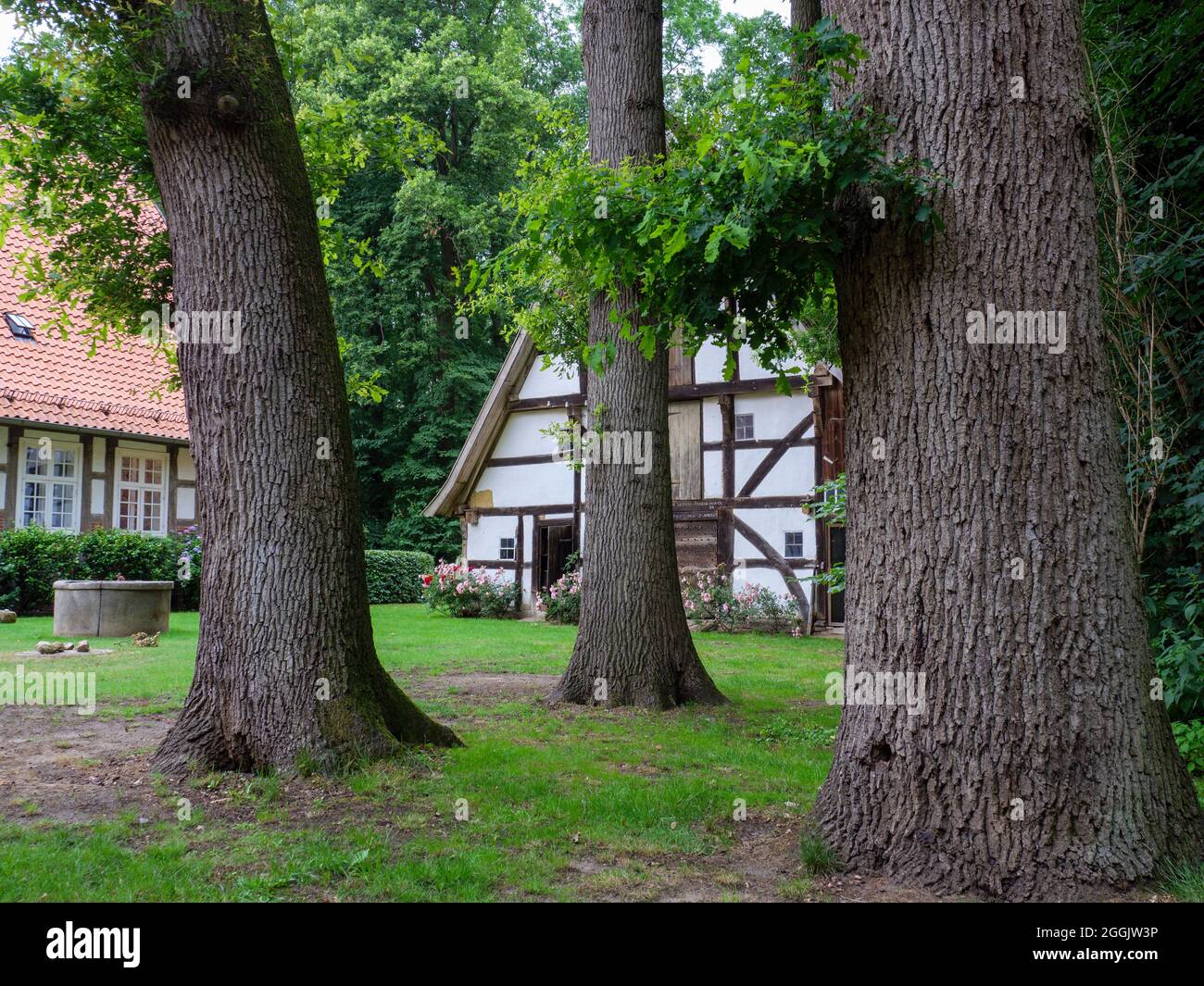 Hof Sickmann, Wulften, timpano ad Artland, Osnabrücker Land, bassa Sassonia, Germania Foto Stock