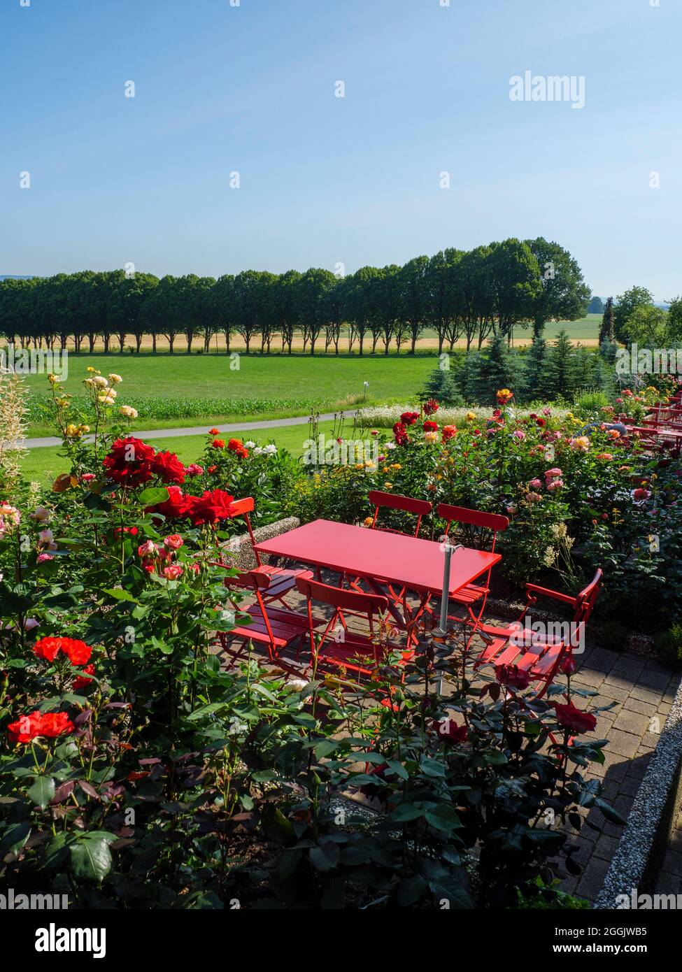 Terrazza Gasthaus Zum Beutling, Wellingholzhausen, Teutoburg Forest, Osnabrücker Land, bassa Sassonia, Germania Foto Stock
