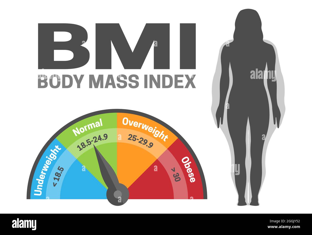 Indice di massa corporea BMI Illustrazione vettoriale infografica con silhouette Donna da normale a obeso perdita di peso o guadagno Illustrazione Vettoriale