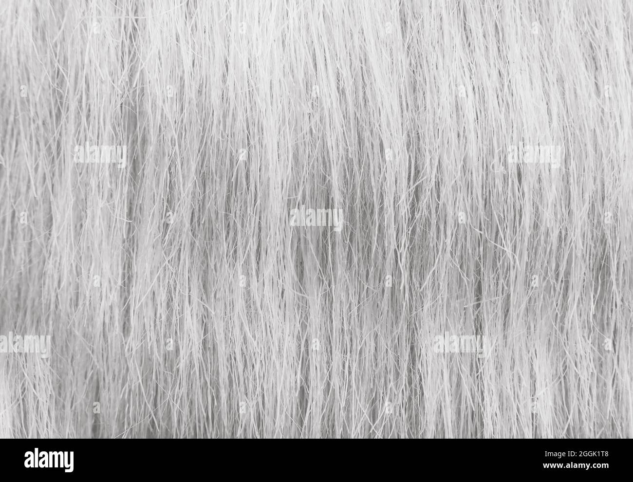 Fondo in fibra sintetica grigio-bianco. Struttura, fibra o motivo dei capelli Foto Stock