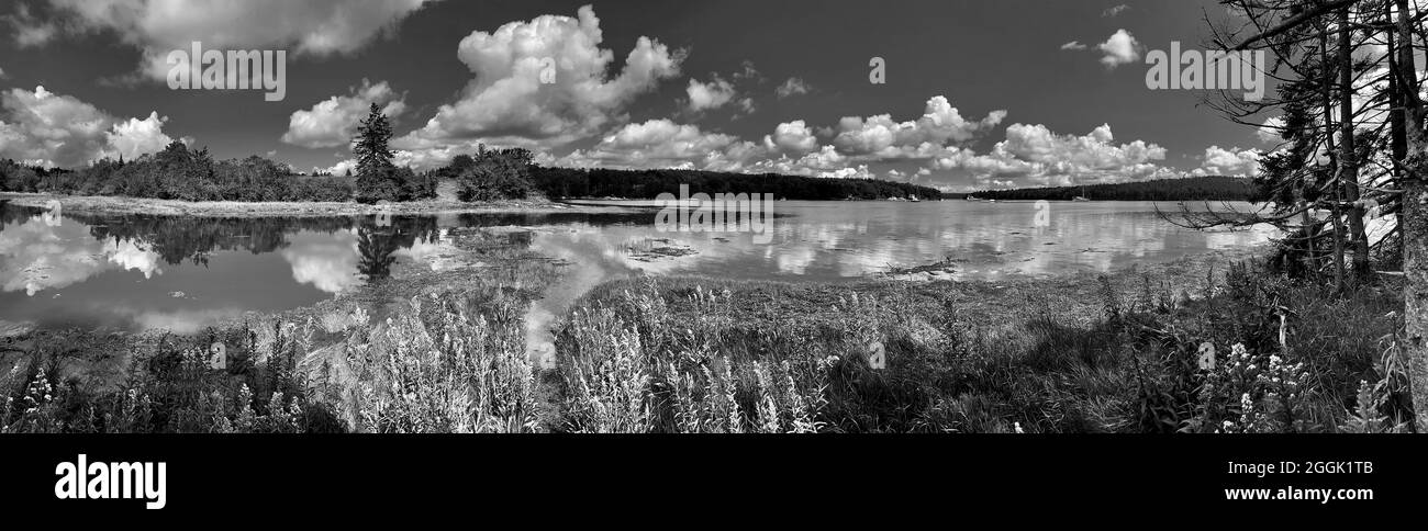 Vista panoramica del fiume Bagaduce da 21 acri di riserva Starr & Virgina Lampton. Foto Stock