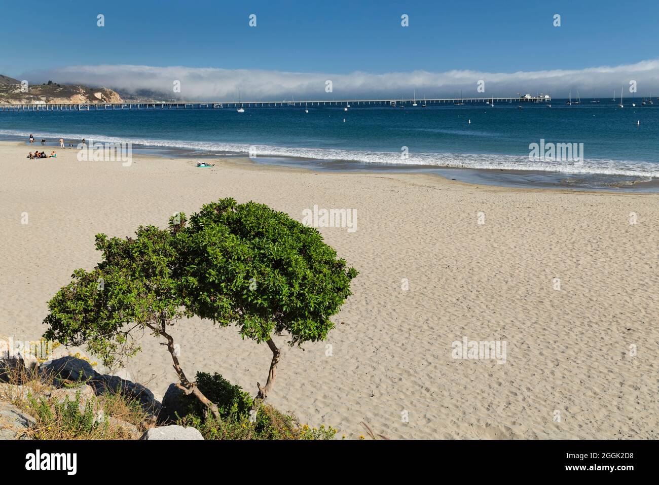 Avila Beach, San Luis Obispo County, California, USA Foto Stock
