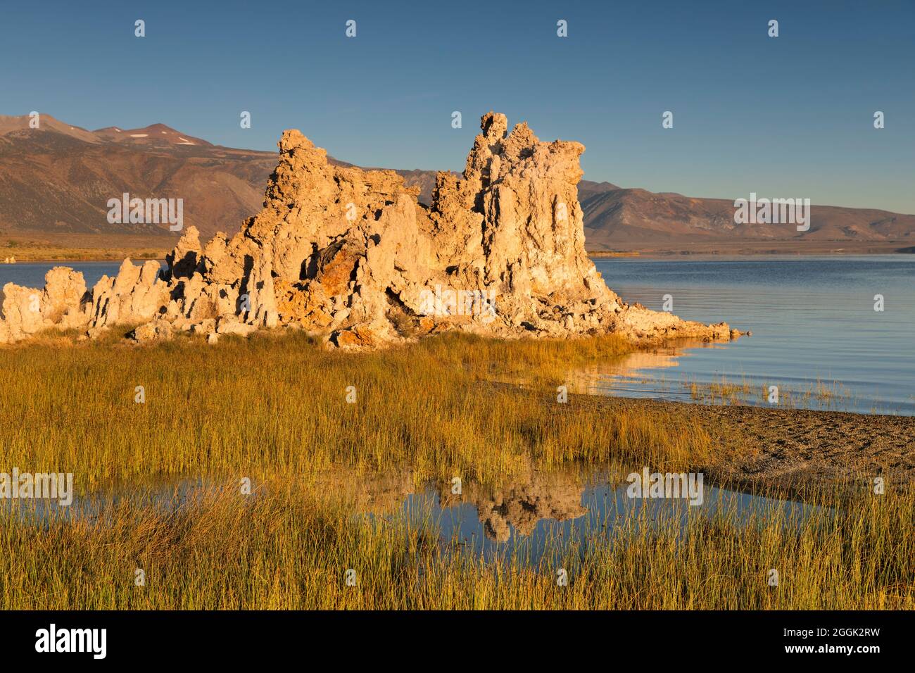 Formazioni di tufo sul lago Mono, riserva statale di tufo sul lago Mono, California, USA, Foto Stock