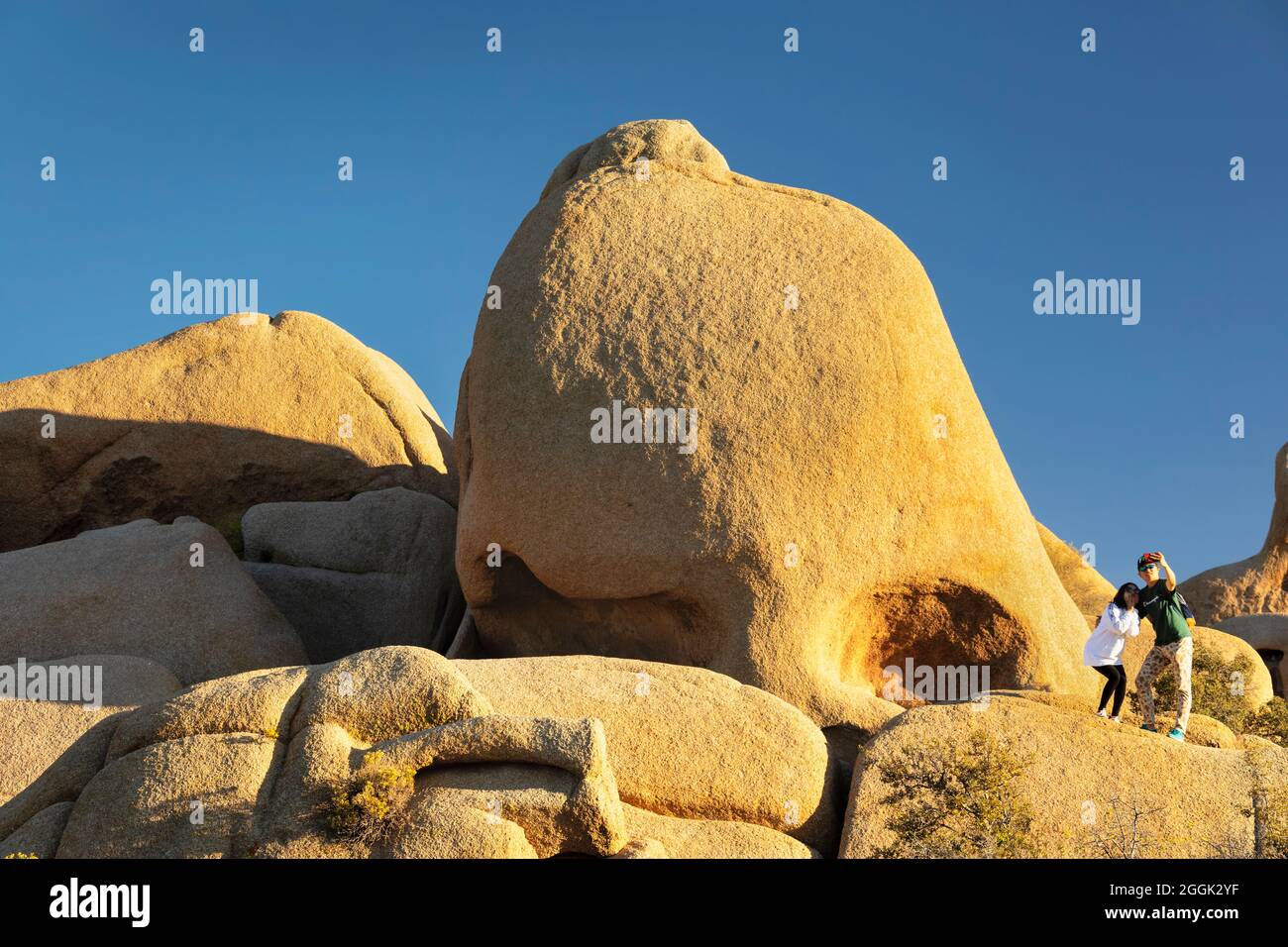 Cranio Rock, Joshua Tree National Park, Deserto Mojave, CALIFORNIA, STATI UNITI D'AMERICA Foto Stock