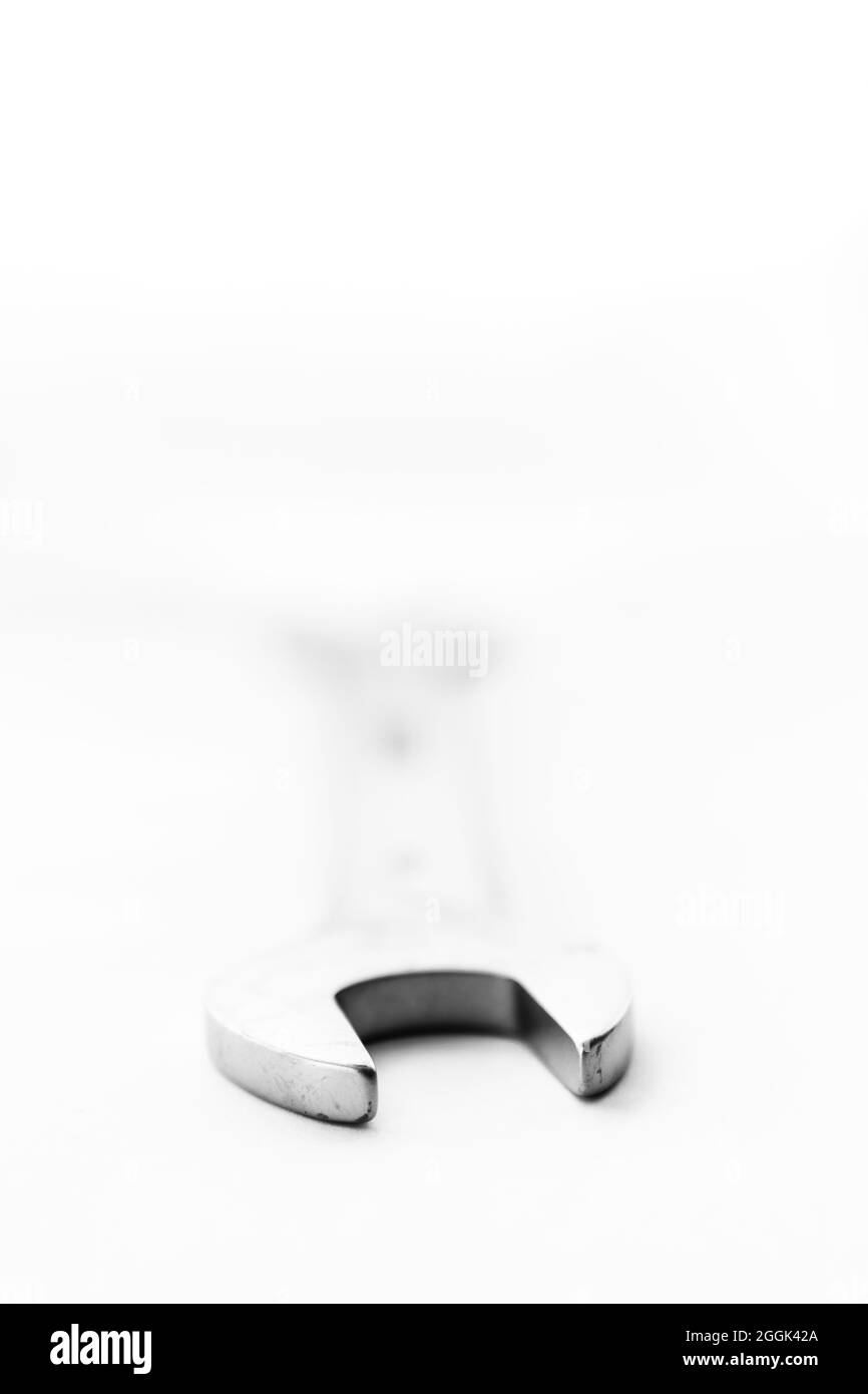 Un ritratto in bianco e nero di una chiave a doppia estremità aperta su sfondo bianco con la testa rivolta direttamente verso la fotocamera. Foto Stock