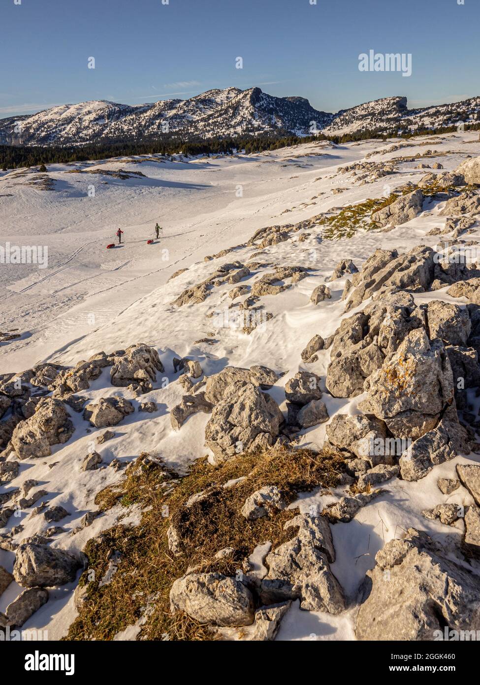 Due sciatori in un tour sciistico con slitte in materiale pulka attraverso la riserva naturale Réserve naturelle des Hauts Plateeus du Vercors Foto Stock