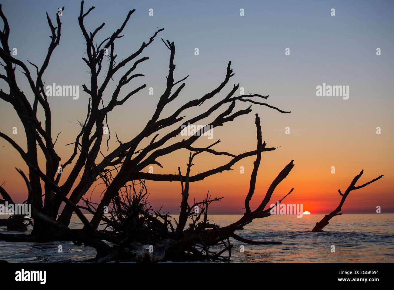 Botany Bay Plantation a Edisto Island, South Carolina. Foto Stock