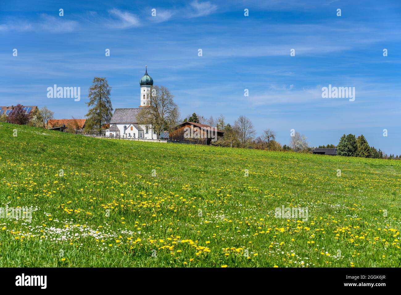 Germania, Baviera, alta Baviera, Pfaffenwinkel, Eglfing, Distretto Tauting, prato di primavera con la chiesa sussidiaria Sankt Benedikt Foto Stock