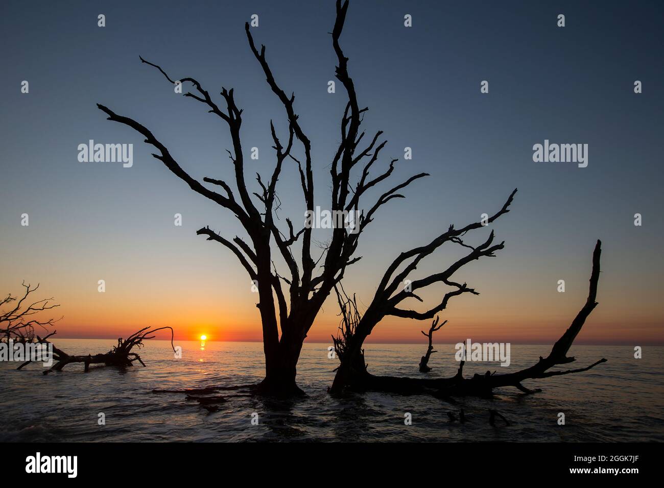 Botany Bay Plantation a Edisto Island, South Carolina. Foto Stock