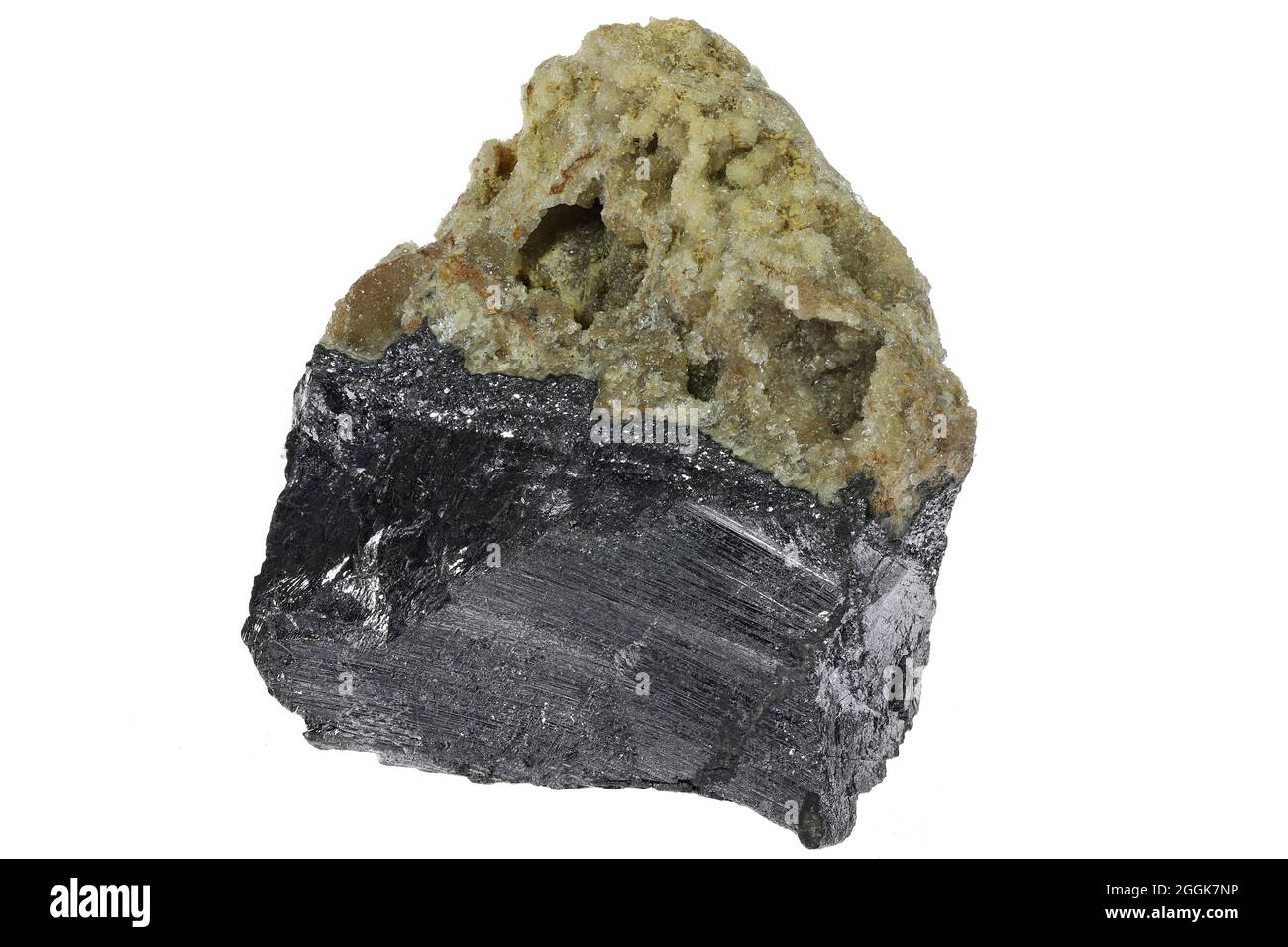 galena (primo sguardo) da Krantza, Spagna isolato su sfondo bianco Foto Stock