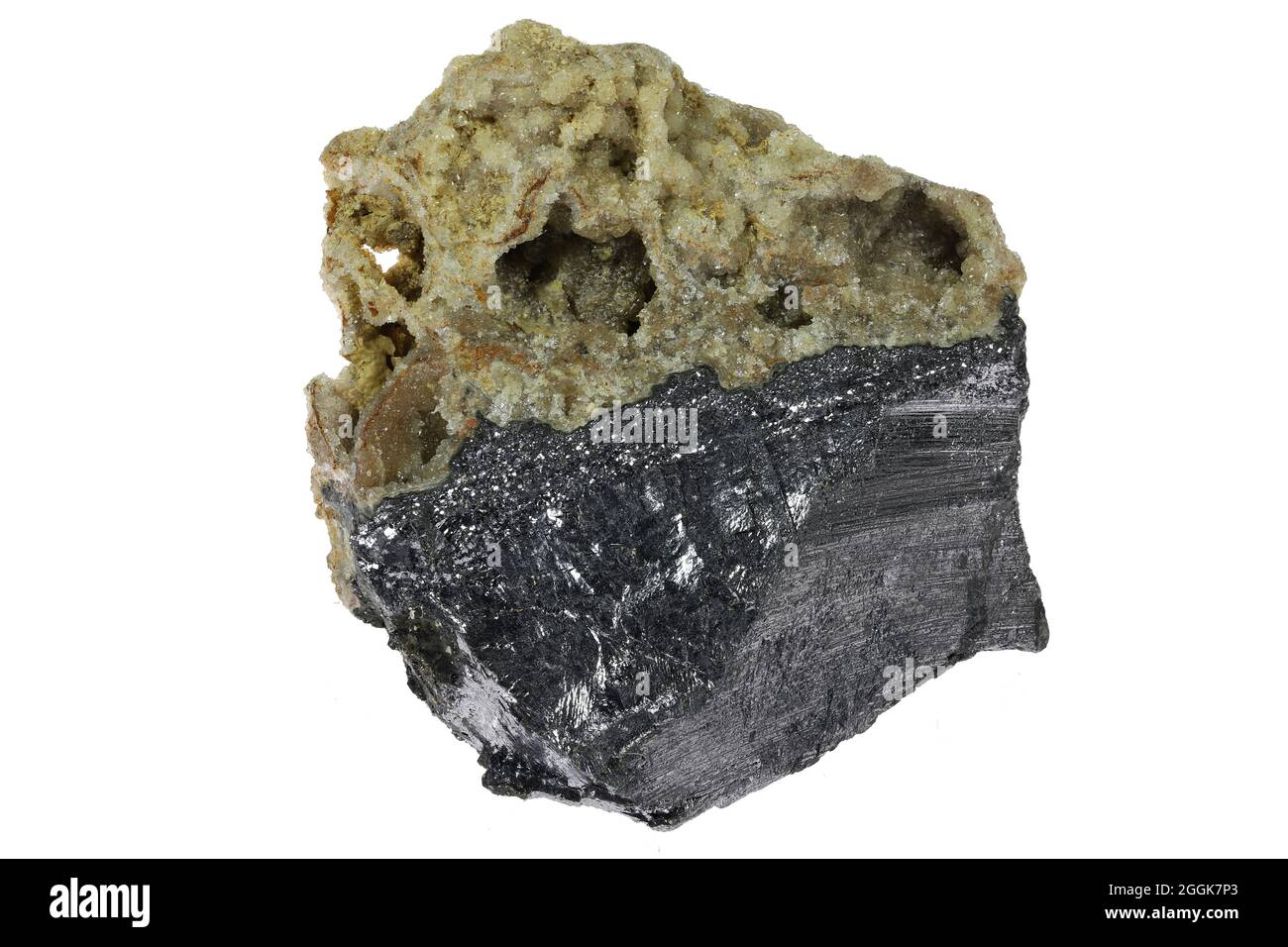 galena (primo sguardo) da Krantza, Spagna isolato su sfondo bianco Foto Stock