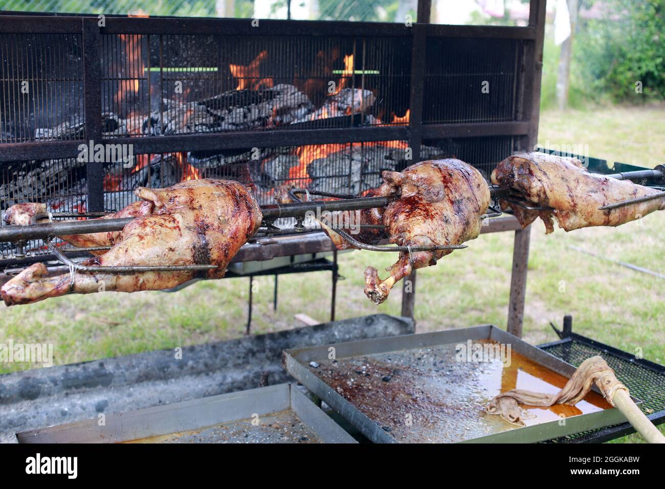 Spit agnello arrosto per un mechoui. Foto Stock