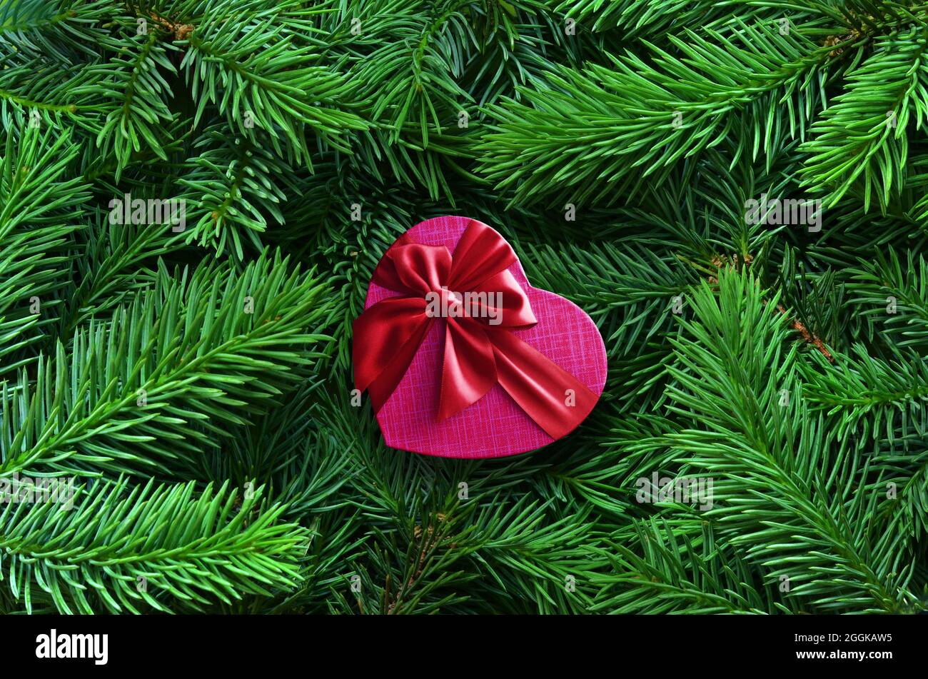 Sfondo di verde albero di Natale rami e regalo. Concetto di vacanza. Foto Stock