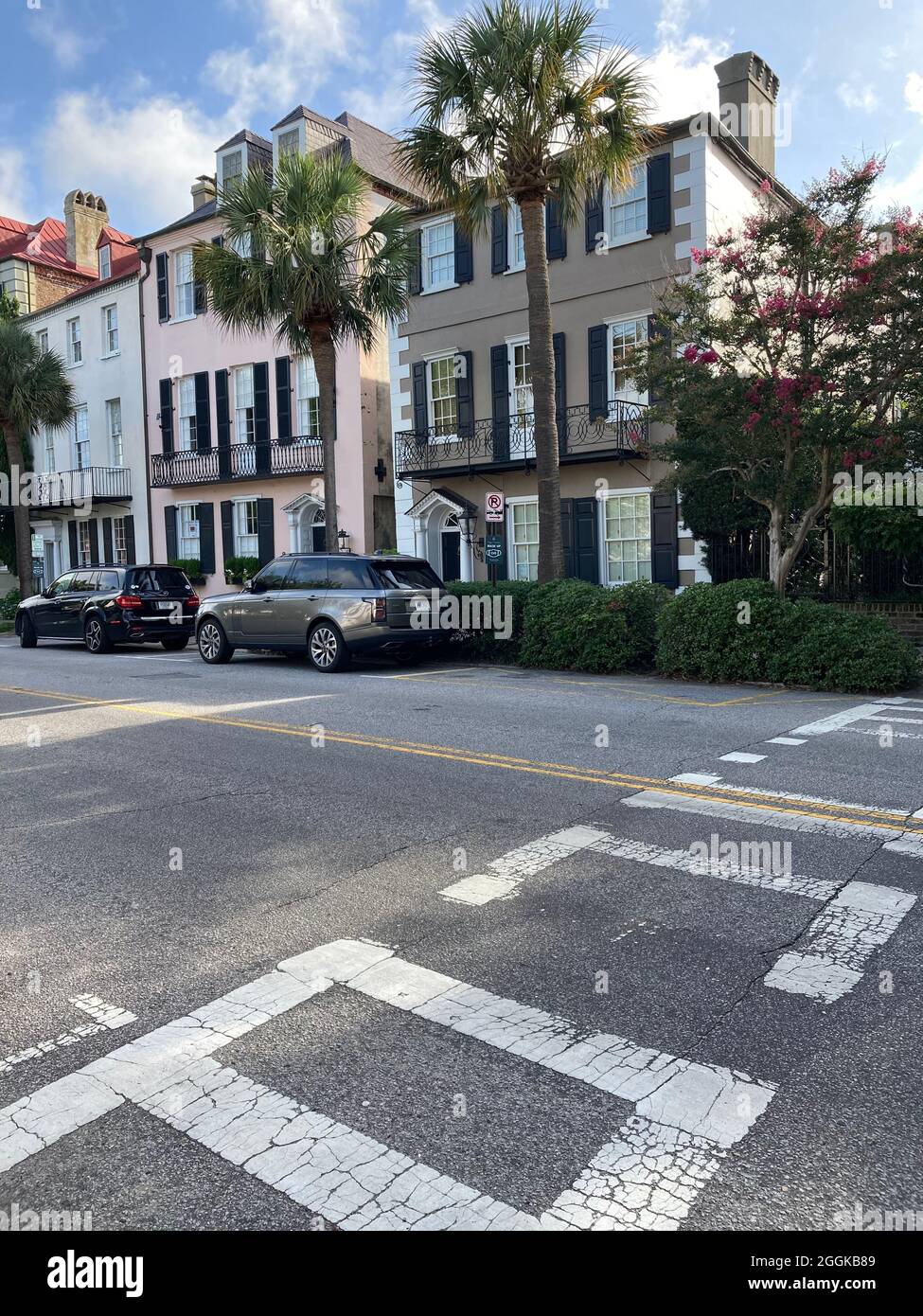 Charleston, Carolina del Sud, case dell'epoca coloniale con palmetos e crosswalk Foto Stock