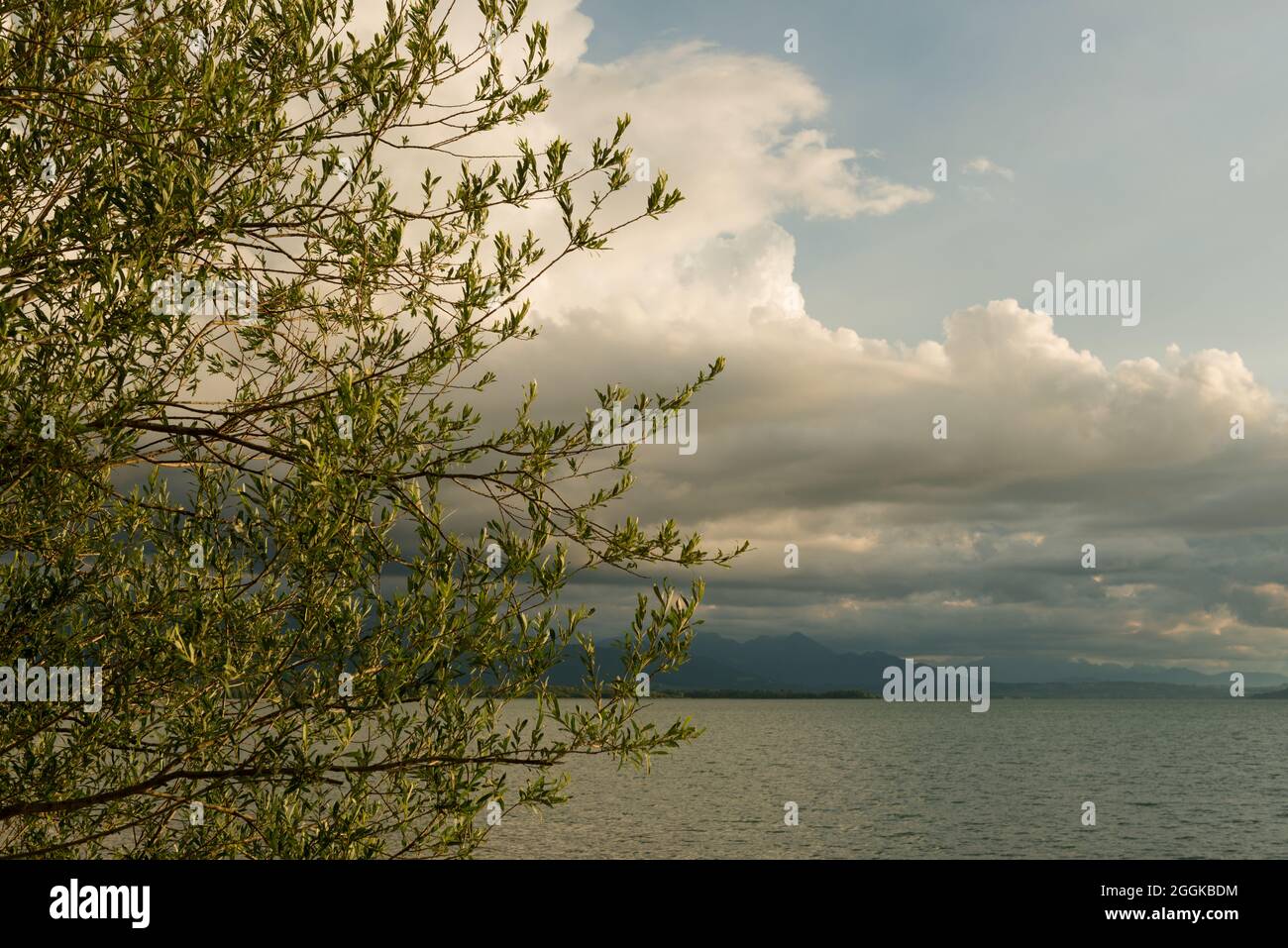 Temporale mood, Chiemgau, Chiemsee, Baviera, paesaggio, estate Foto Stock