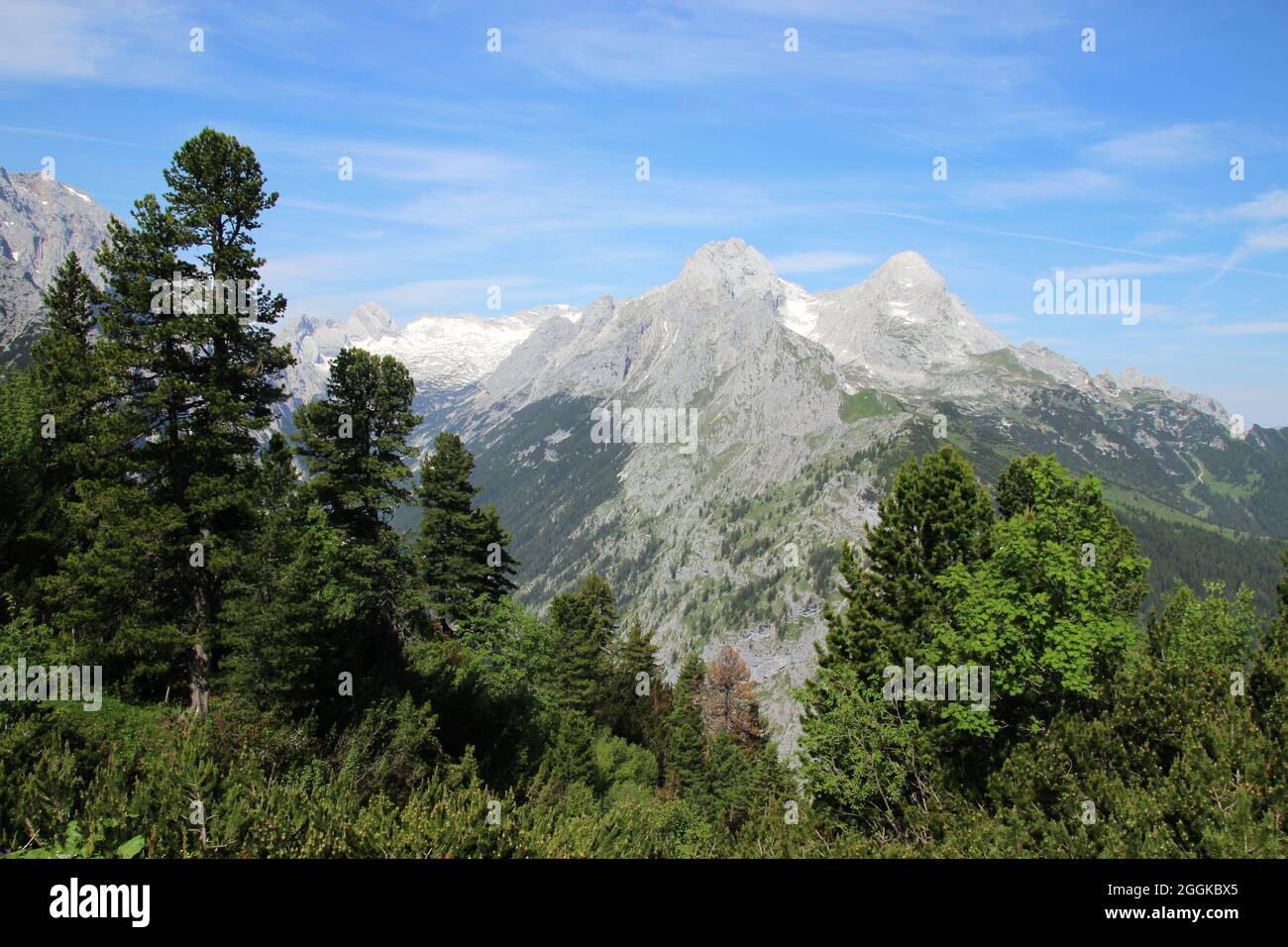 Montagne di Wetterstein con Hochblassen e Alpspitze, cielo blu, alberi, Garmisch-Partenkirchen, alta Baviera, Baviera, Germania meridionale, Germania Foto Stock
