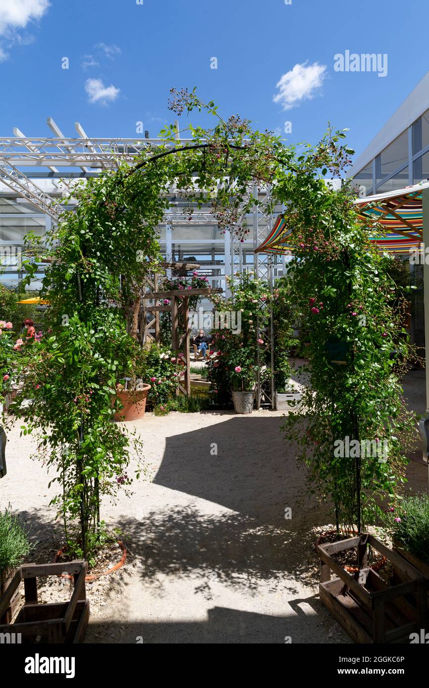 Rose Garden, flower hall, Inspiration Nature, state Garden Show, Ingolstadt 2020, Nuovo termine 2021, Ingolstadt, Baviera, Germania, Europa Foto Stock