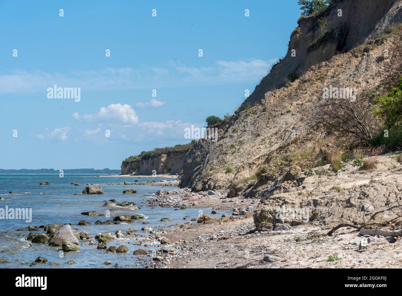 Germania, Meclemburgo-Pomerania occidentale, Greaves, costa ripida a nord dell'isola di Hiddensee, Mar Baltico Foto Stock