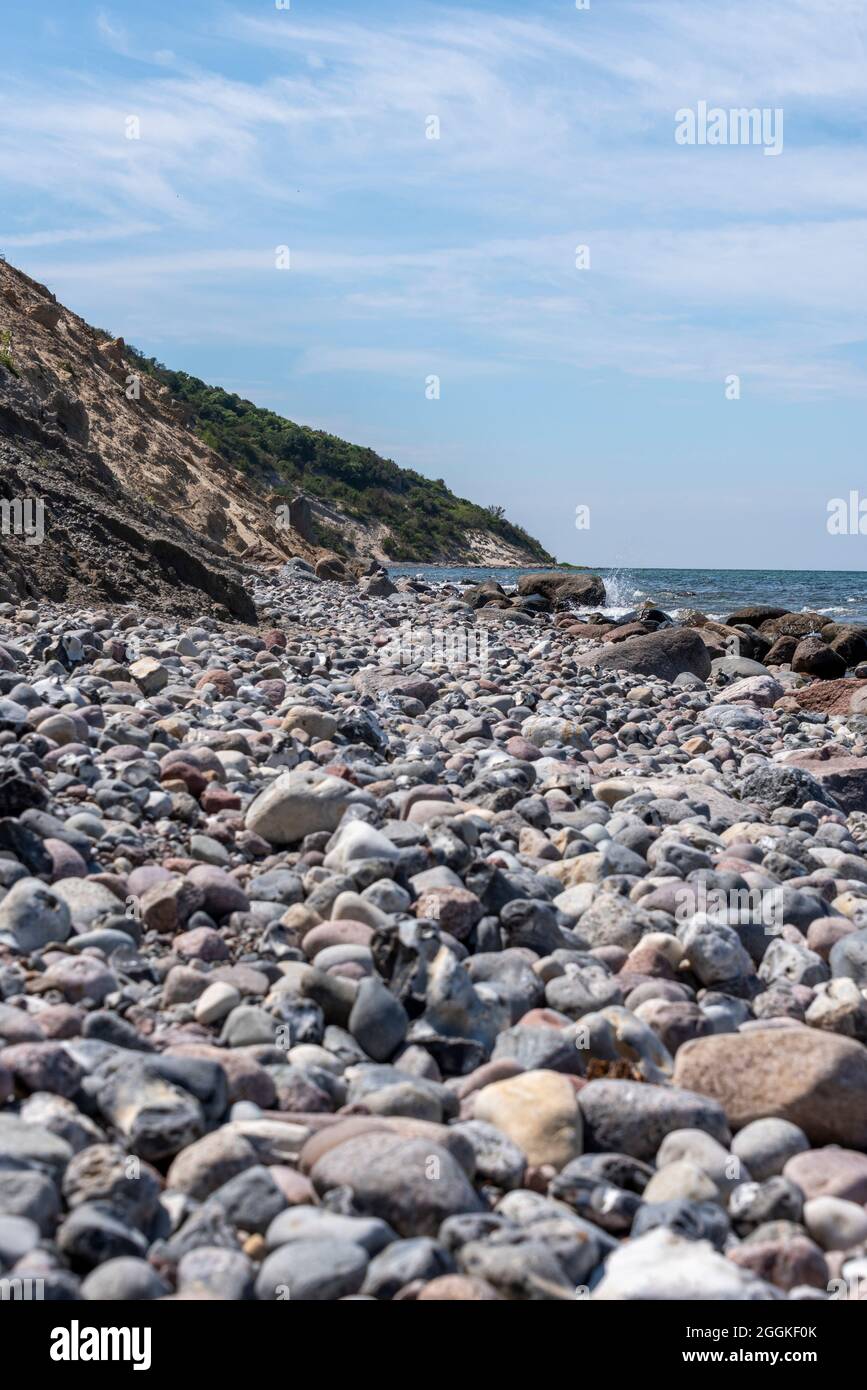Germania, Meclemburgo-Pomerania occidentale, Greaves, costa ripida a nord dell'isola di Hiddensee, Mar Baltico Foto Stock