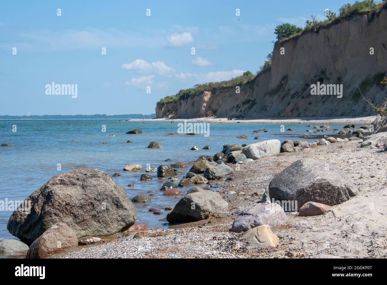 Germania, Meclemburgo-Pomerania occidentale, Greaves, costa ripida a nord dell'isola di Hiddensee, Mar Baltico Foto Stock