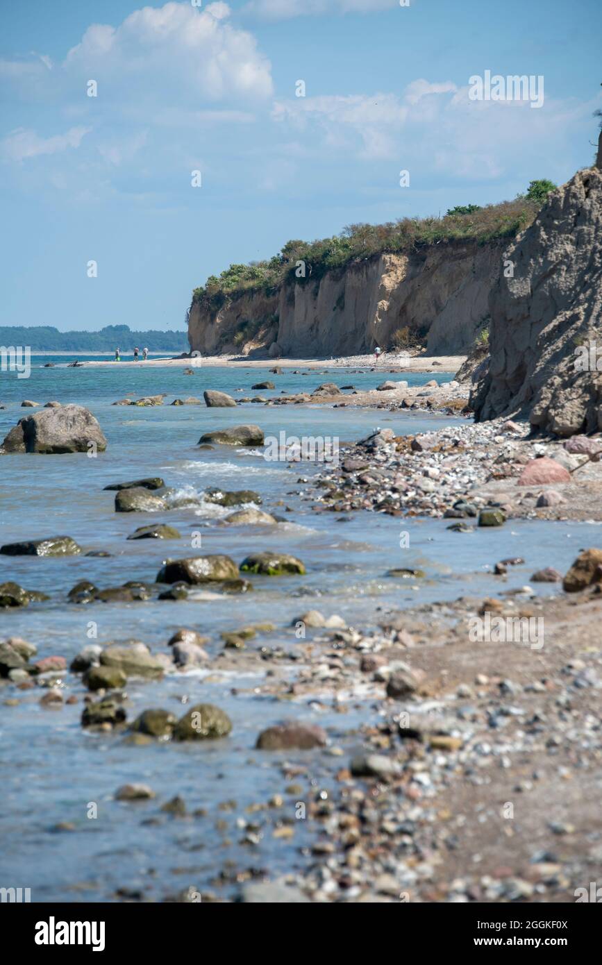 Germania, Meclemburgo-Pomerania occidentale, Greaves, costa ripida a nord dell'isola di Hiddensee, Mar Baltico Foto Stock