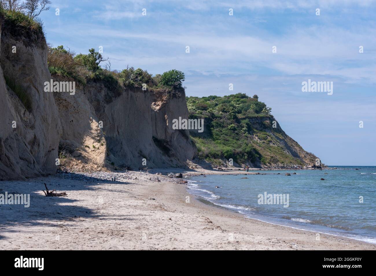 Germania, Meclemburgo-Pomerania occidentale, Greaves, costa ripida a nord dell'isola di Hiddensee, Mar Baltico Foto Stock