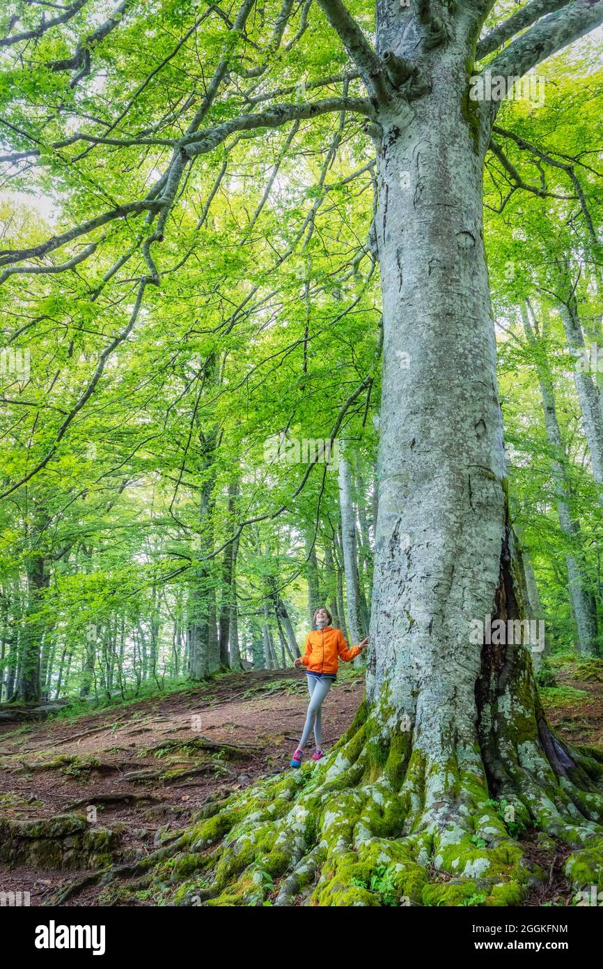 Giovane (11 anni) ai piedi di un faggeto gigante nelle foreste del Casentino, la Verna, Santuario Francescano, chiusi della Verna, Arezzo, Toscana, Italia Foto Stock