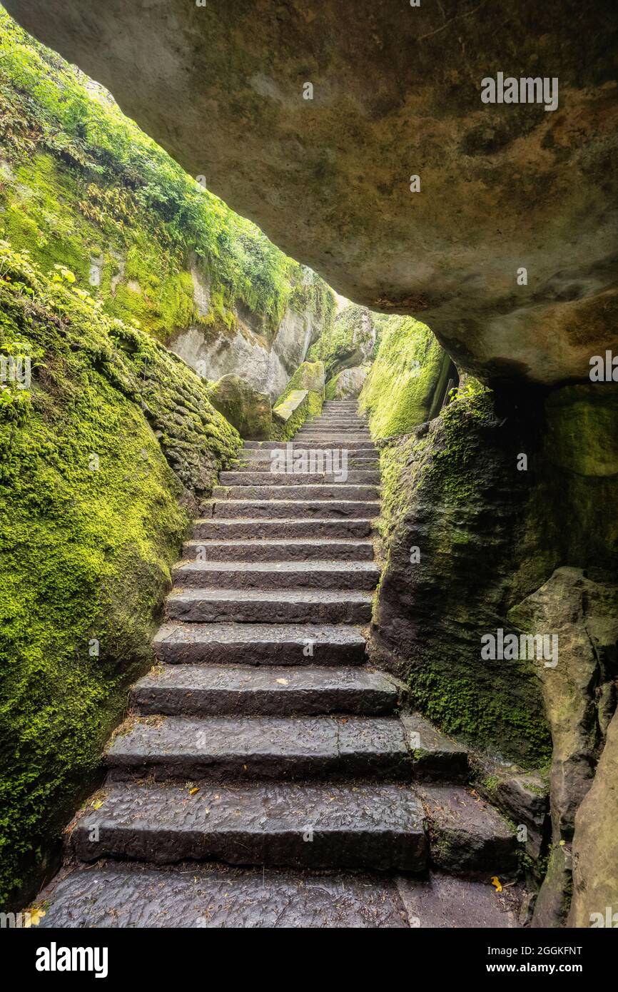 La scalinata scolpita nella roccia di Sasso Spicco, la Verna, Santuario Francescano, chiusi della Verna, Arezzo, Toscana, Italia Foto Stock