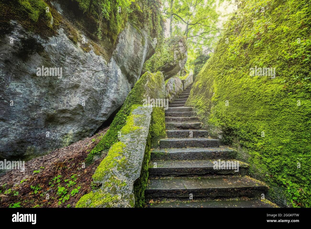 La scalinata scolpita nella roccia di Sasso Spicco, la Verna, Santuario Francescano, chiusi della Verna, Arezzo, Toscana, Italia Foto Stock