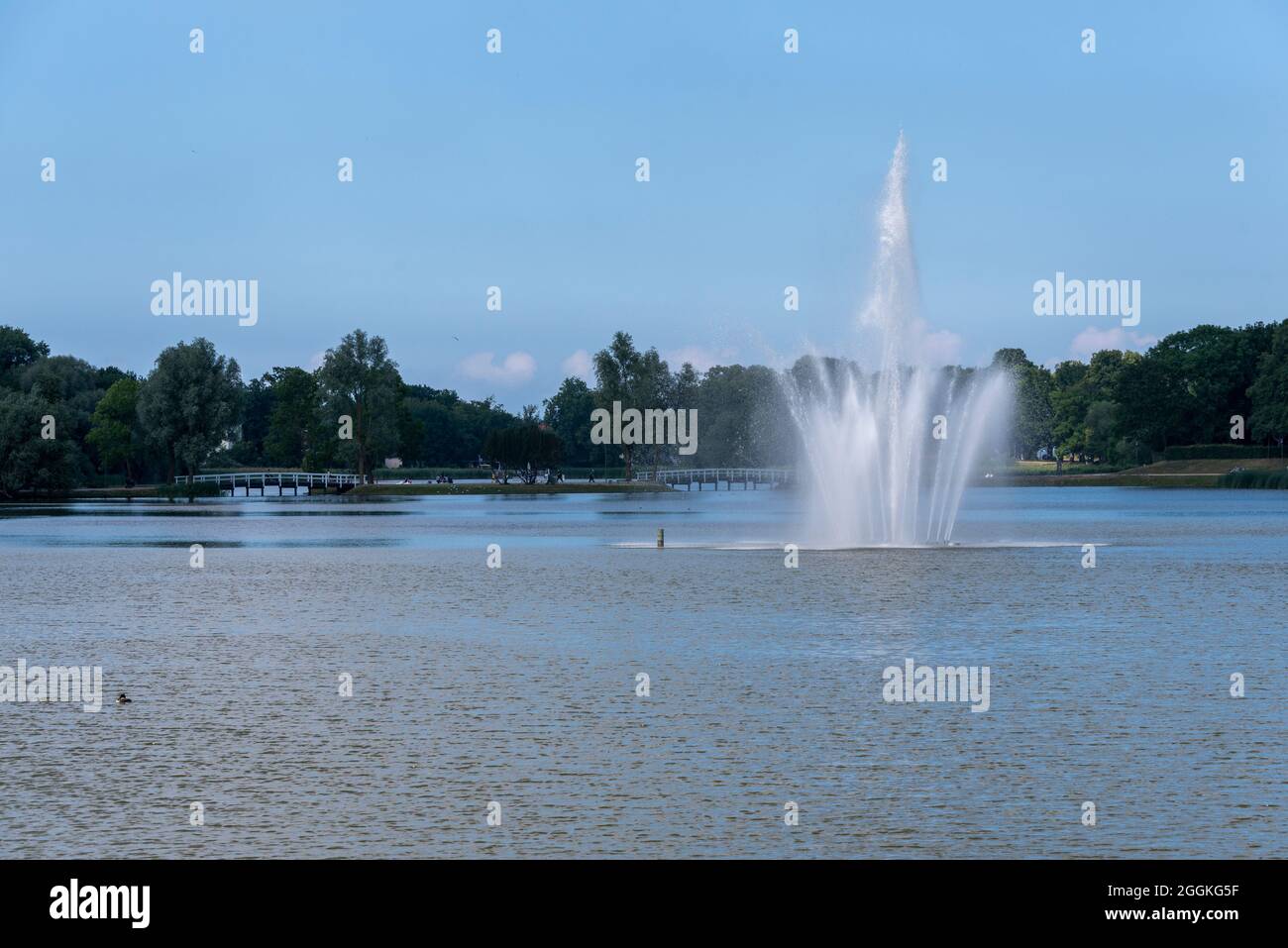 Germania, Meclemburgo-Pomerania occidentale, Stralsund, fontana a Knieperteich, città anseatica di Stralsund Foto Stock