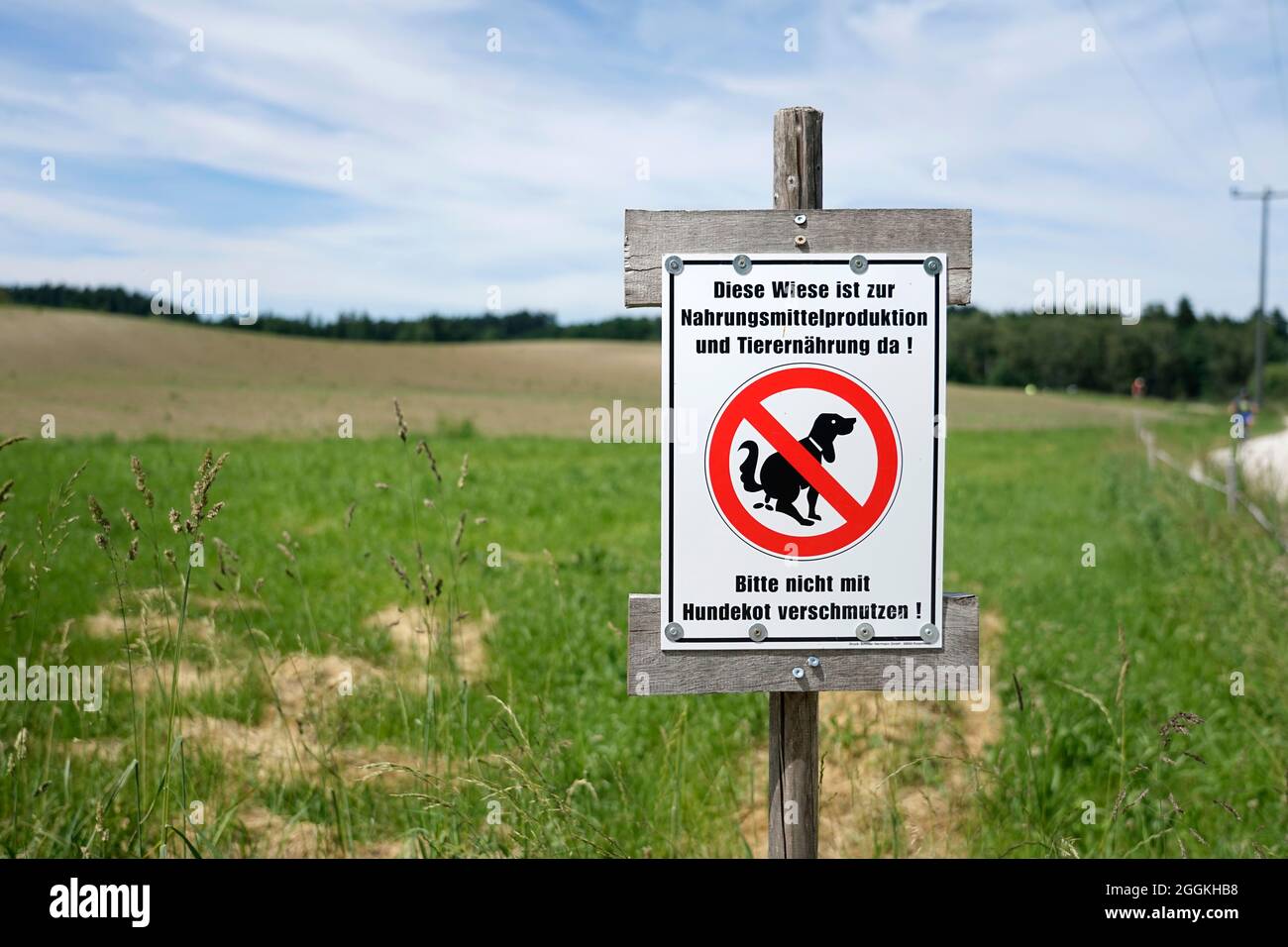 Germania, Baviera, agricoltura, prato, proprietario di cane, segno di divieto, escremento del cane, inquinamento Foto Stock