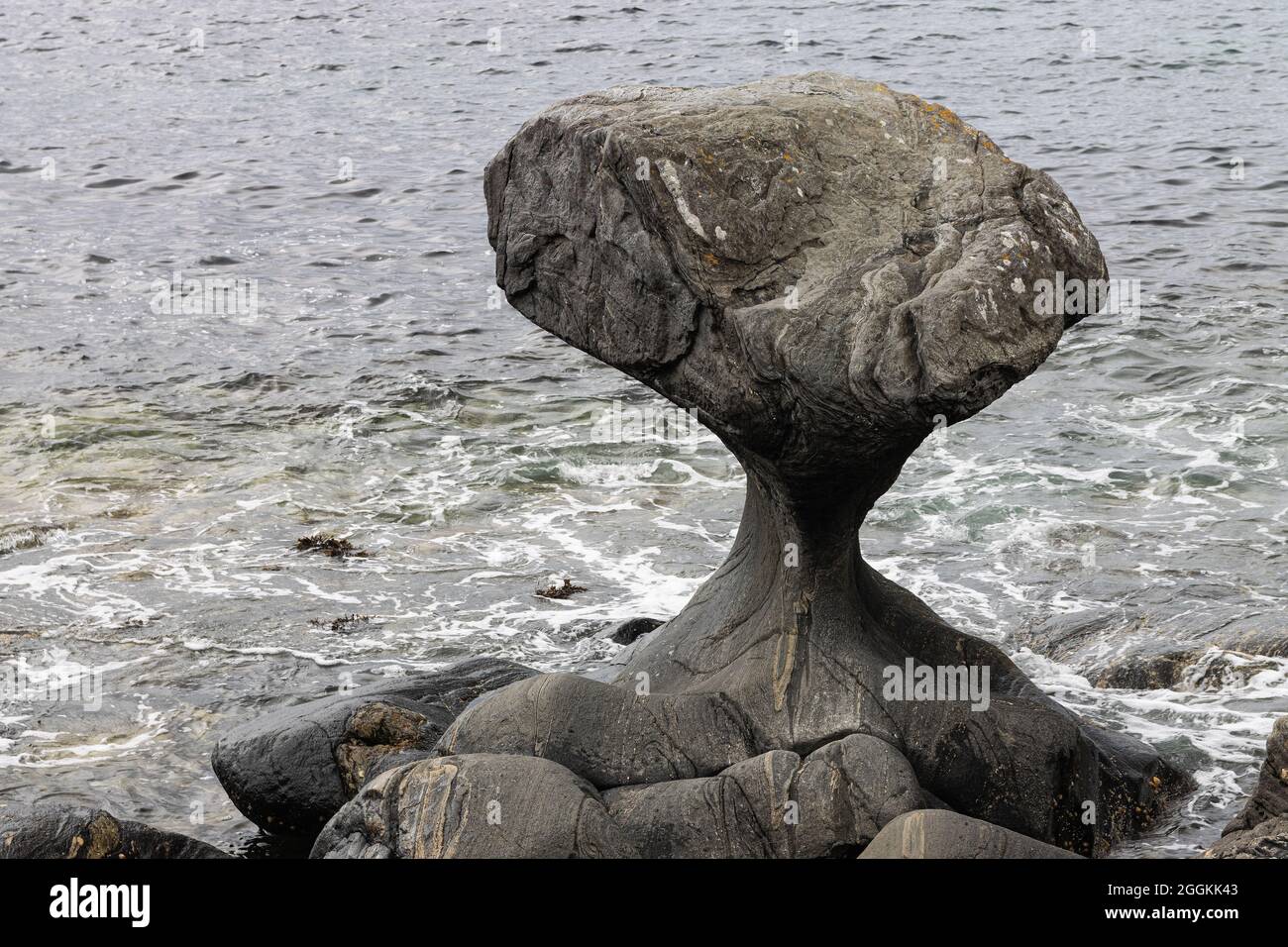 La roccia di Kannesteinen, a forma di fungo, sulla costa di Oppedal, Vågsøy non lontano da Måløy, è un fenomeno geologico e un monumento naturale realizzato dal mare Foto Stock