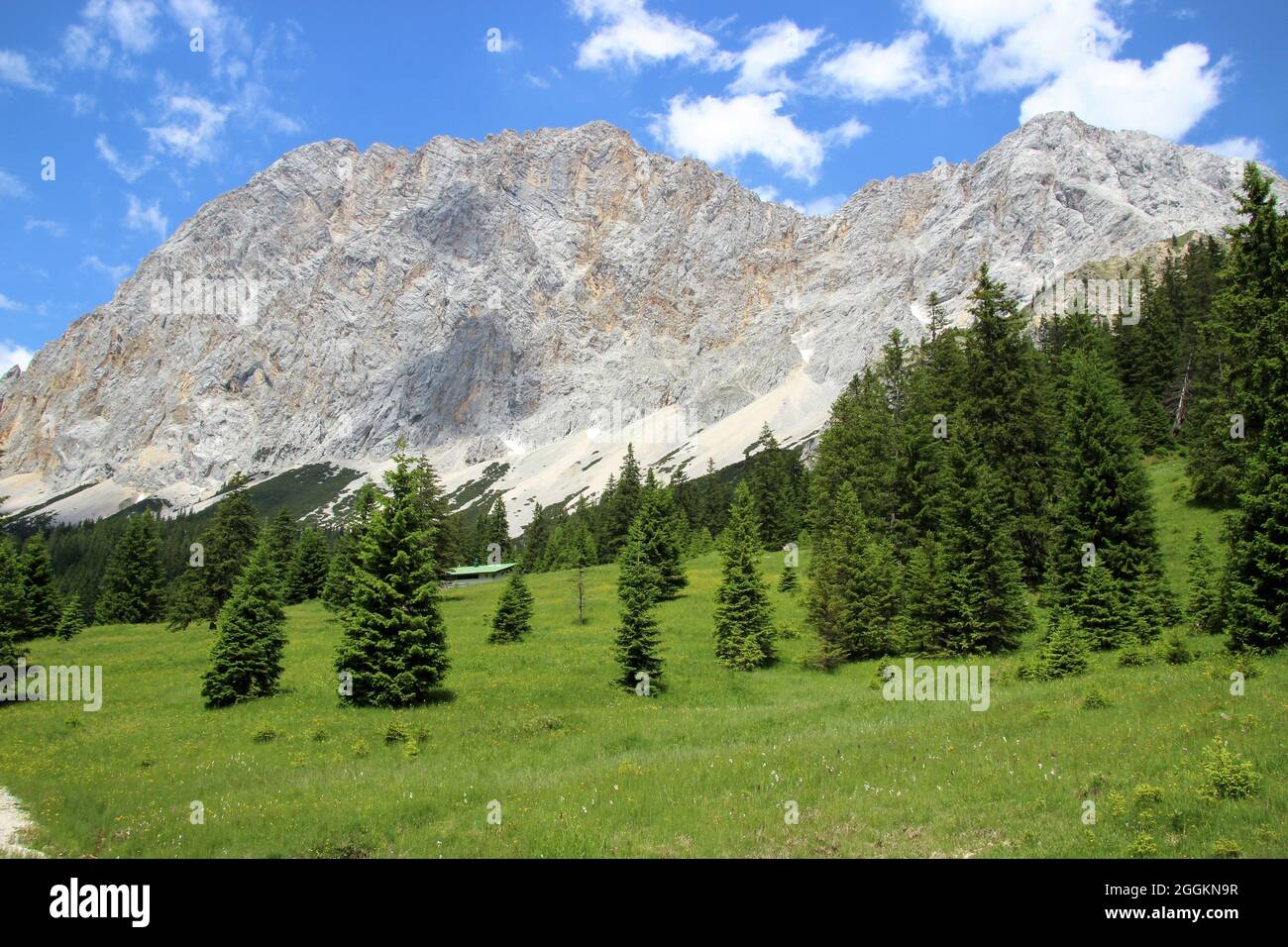 View, Ehrwalder Alm, Ehrwalder Bergbahn, Austria, Tirolo, Ehrwald, Zugspitze (2962 m) Foto Stock