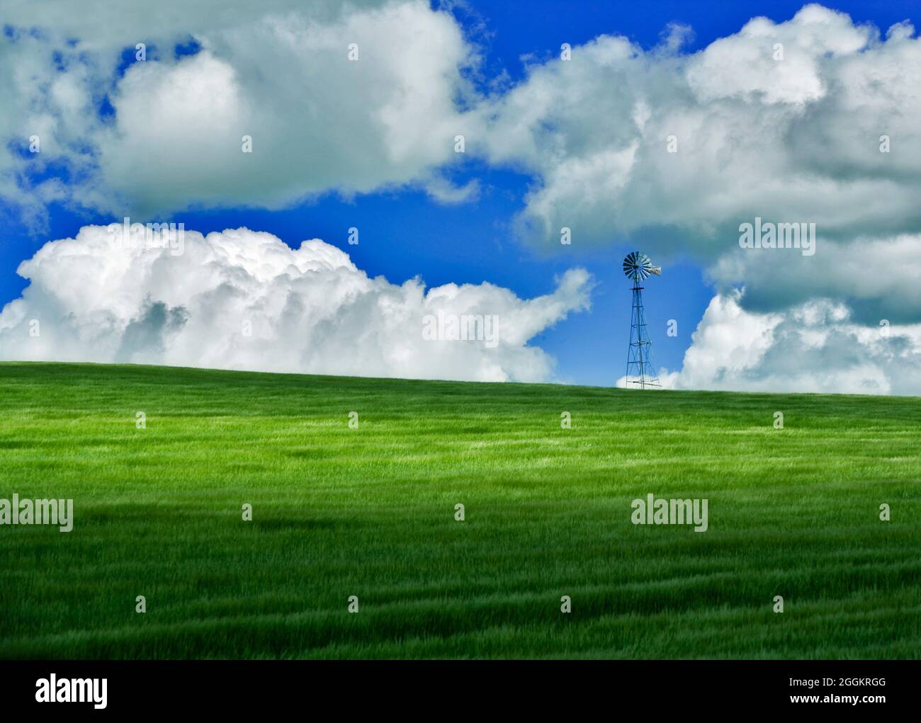 Mulino a vento in campo di grano. Con nuvole. The Palouse, Washington Foto Stock