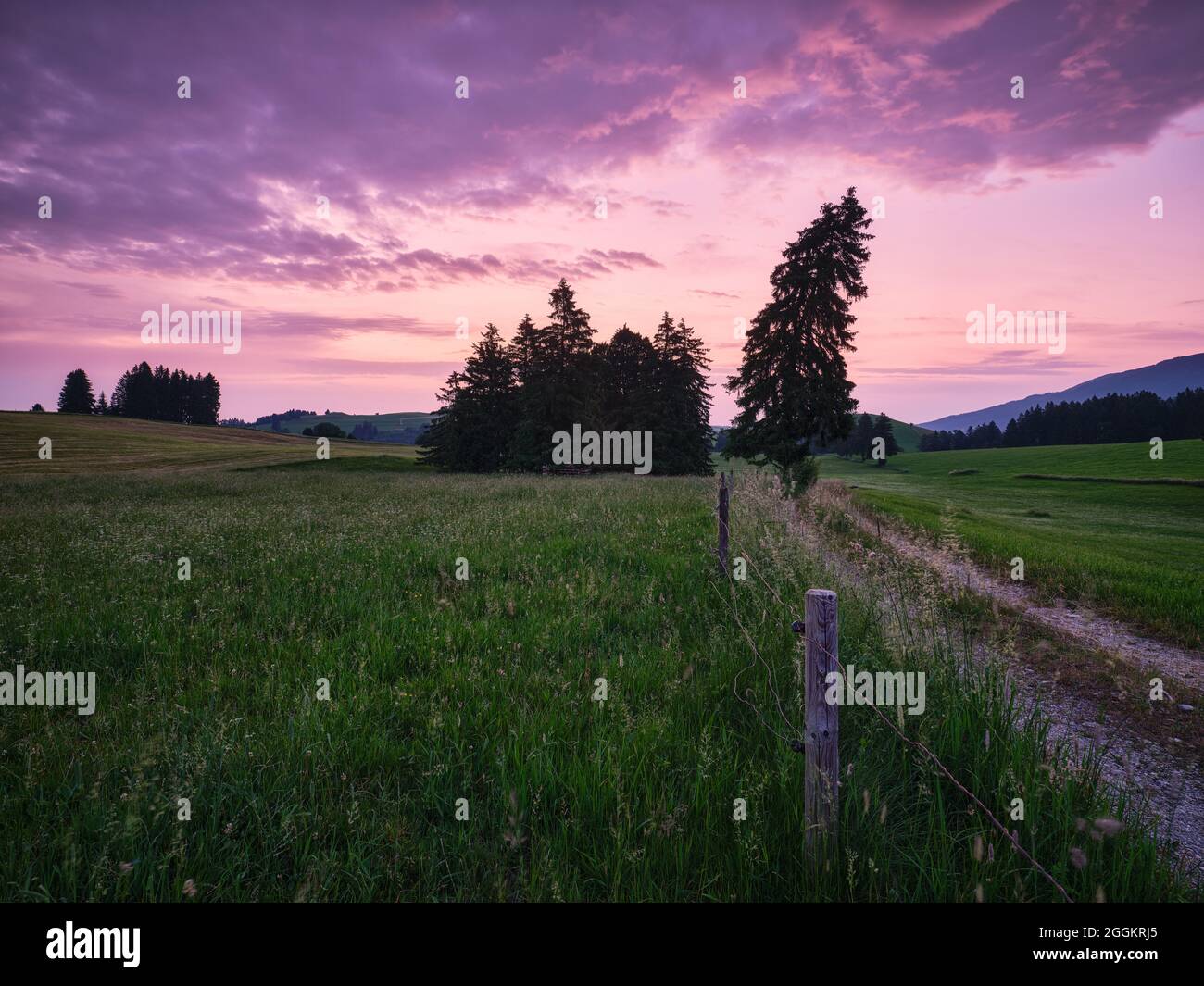 Germania, Halch, giovane paesaggio morenico nel Ostallgäu, Foto Stock